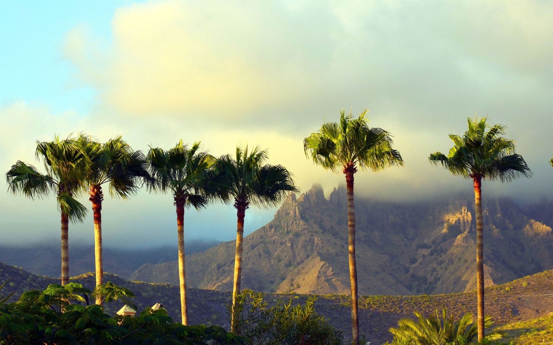 A hiker's paradise! Miles of hiking trails wind around the mountainous Tenerife landscape