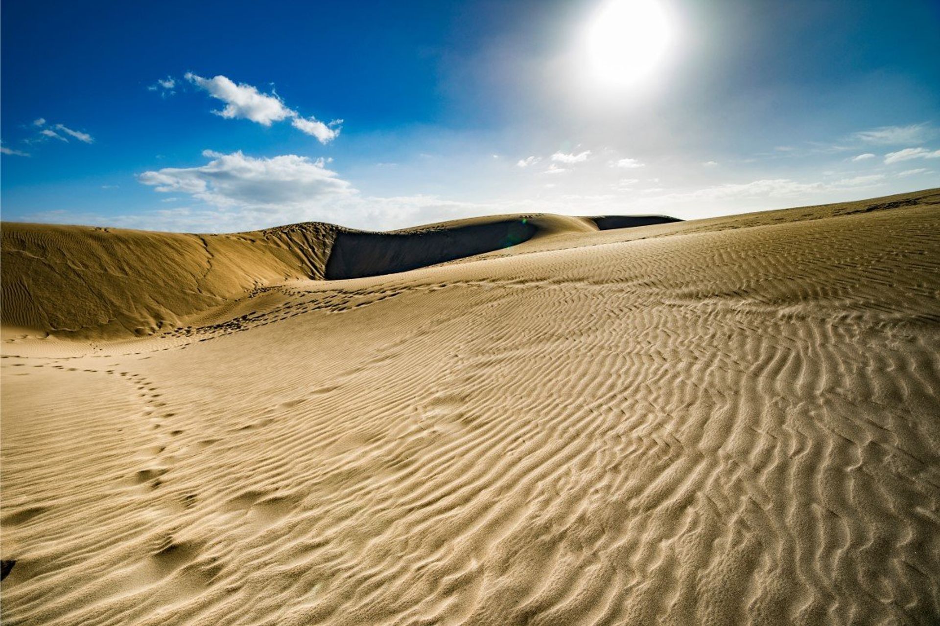 Traverse across the sweeping dunes by foot or camelback for an unforgettable experience