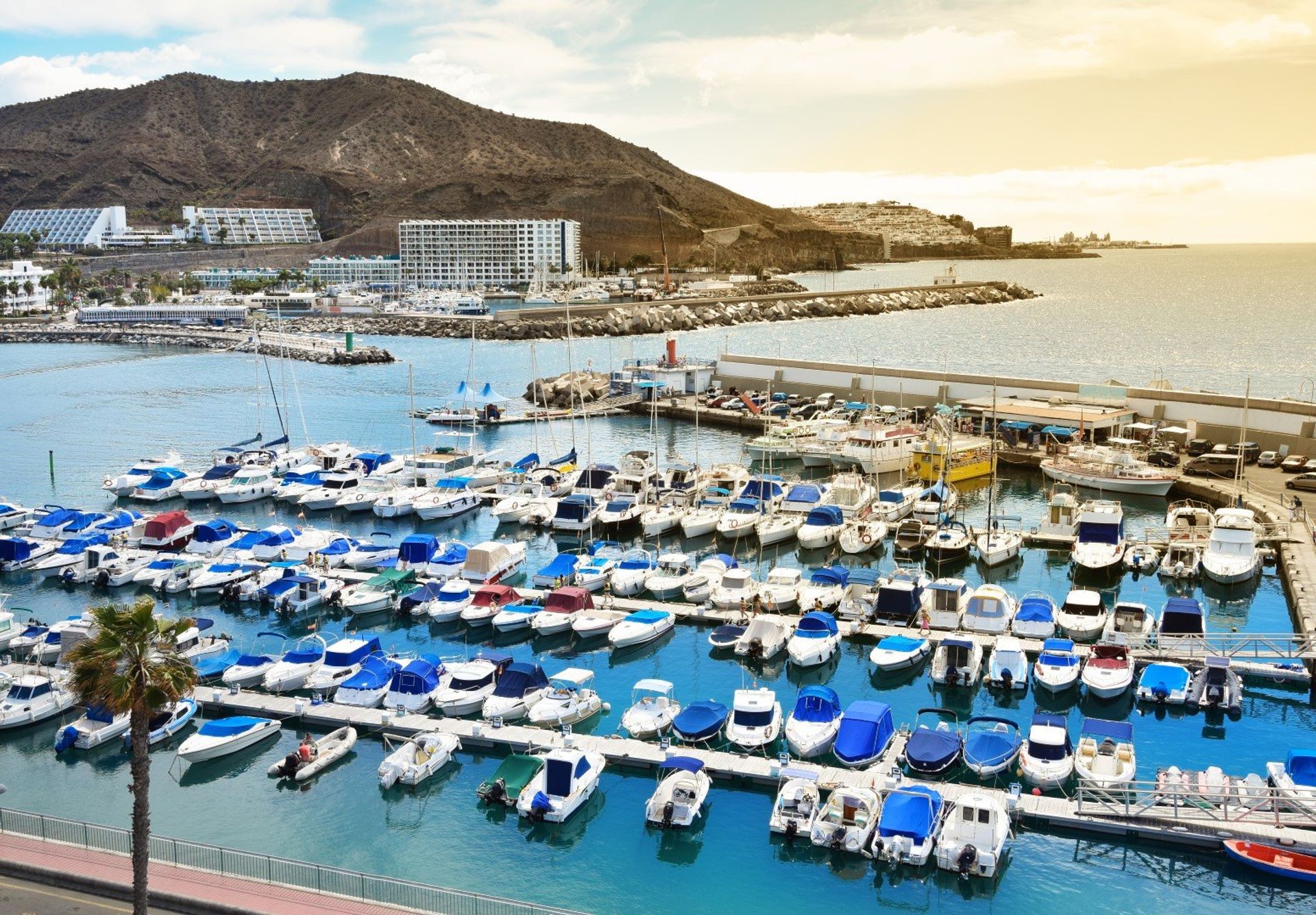 Watch the world go by while the colourful fishing boats dotted across the marina provide the perfect backdrop for an alfresco meal