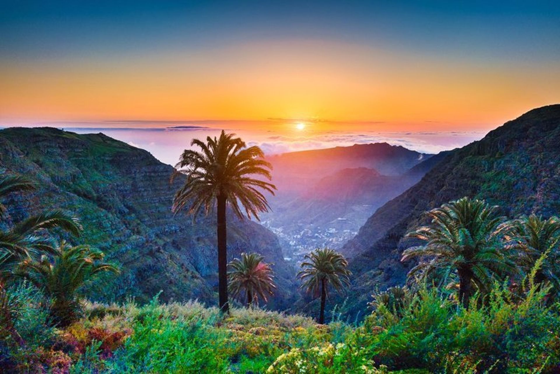 Tropical scenery in Lanzarote - the Canary Islands