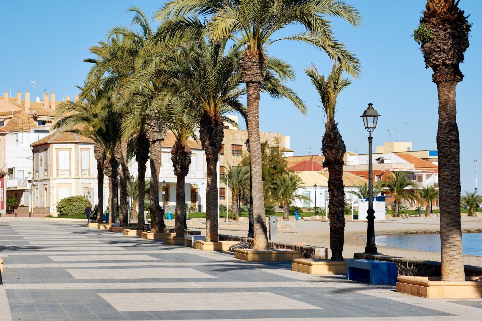 A walk between the palm trees allows you to enjoy one of the finest views of the sparkling Mar Menor 