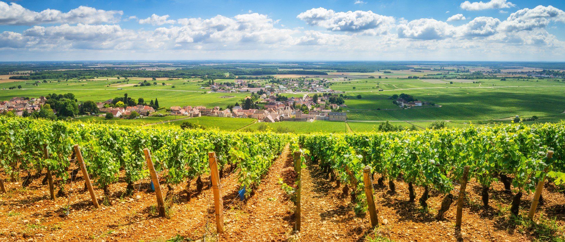 Famed for its production of world-class wines, discover the plump vineyards of Bordeaux
