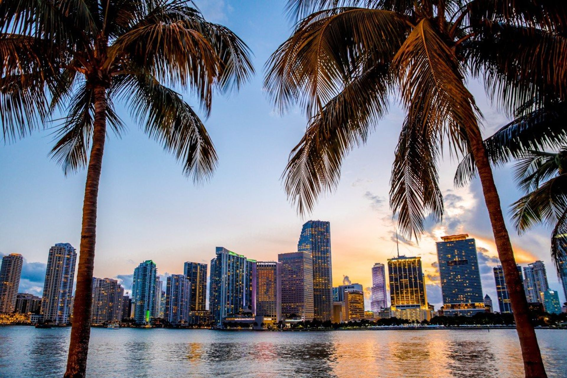 Enjoy a lively holiday in Miami, the city that never sleeps