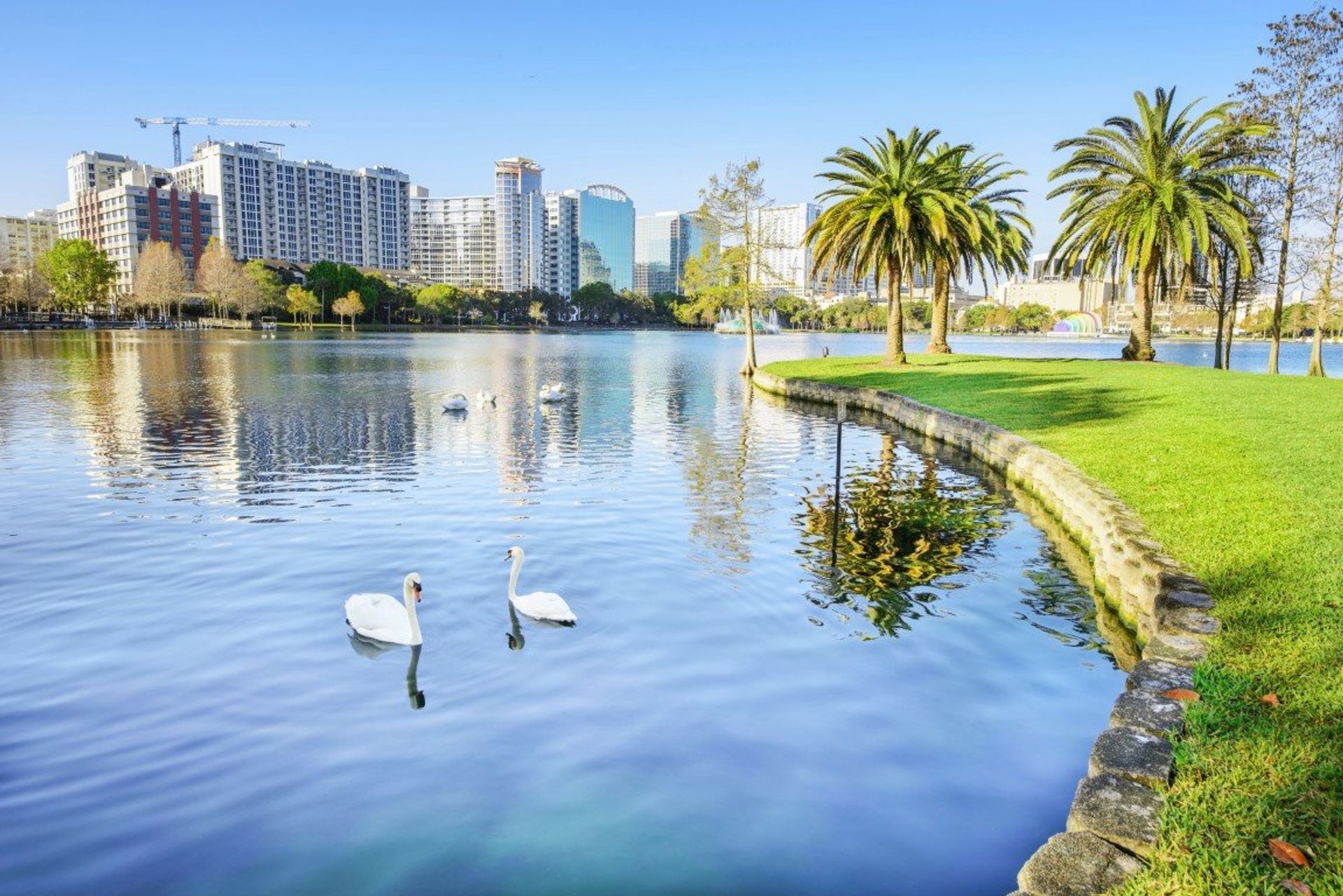 Enjoy a paddle boat around Eola Park, in the heart of Downtown Orlando