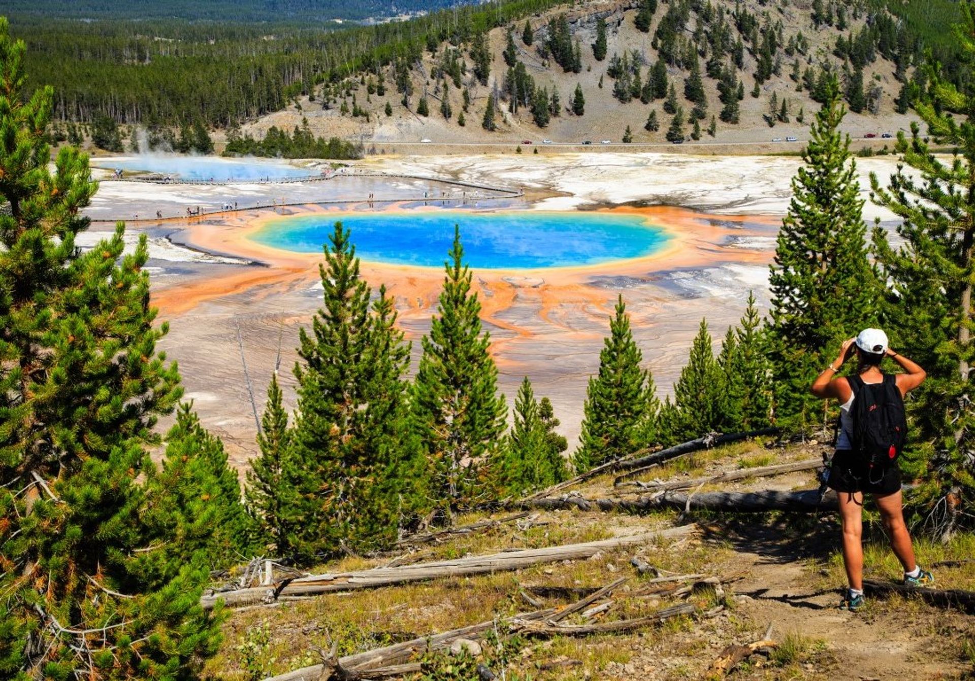 Become one with nature at Yellowstone National Park, home to canyons, rivers, hot springs and forests