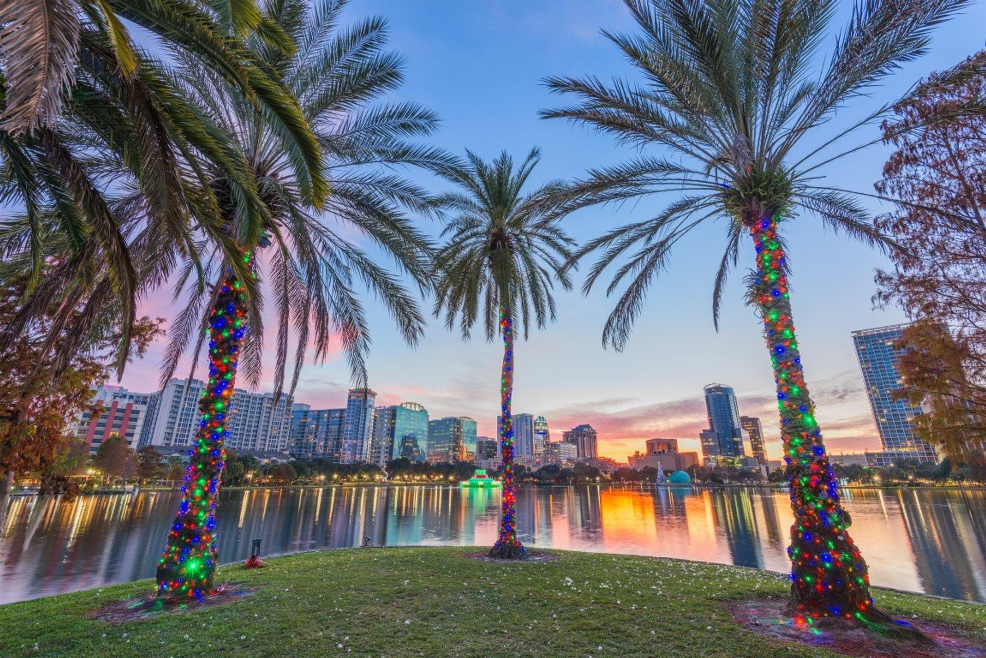 Make sure to visit Eola Park in Downtown Orlando, with its amphitheatre and fountain