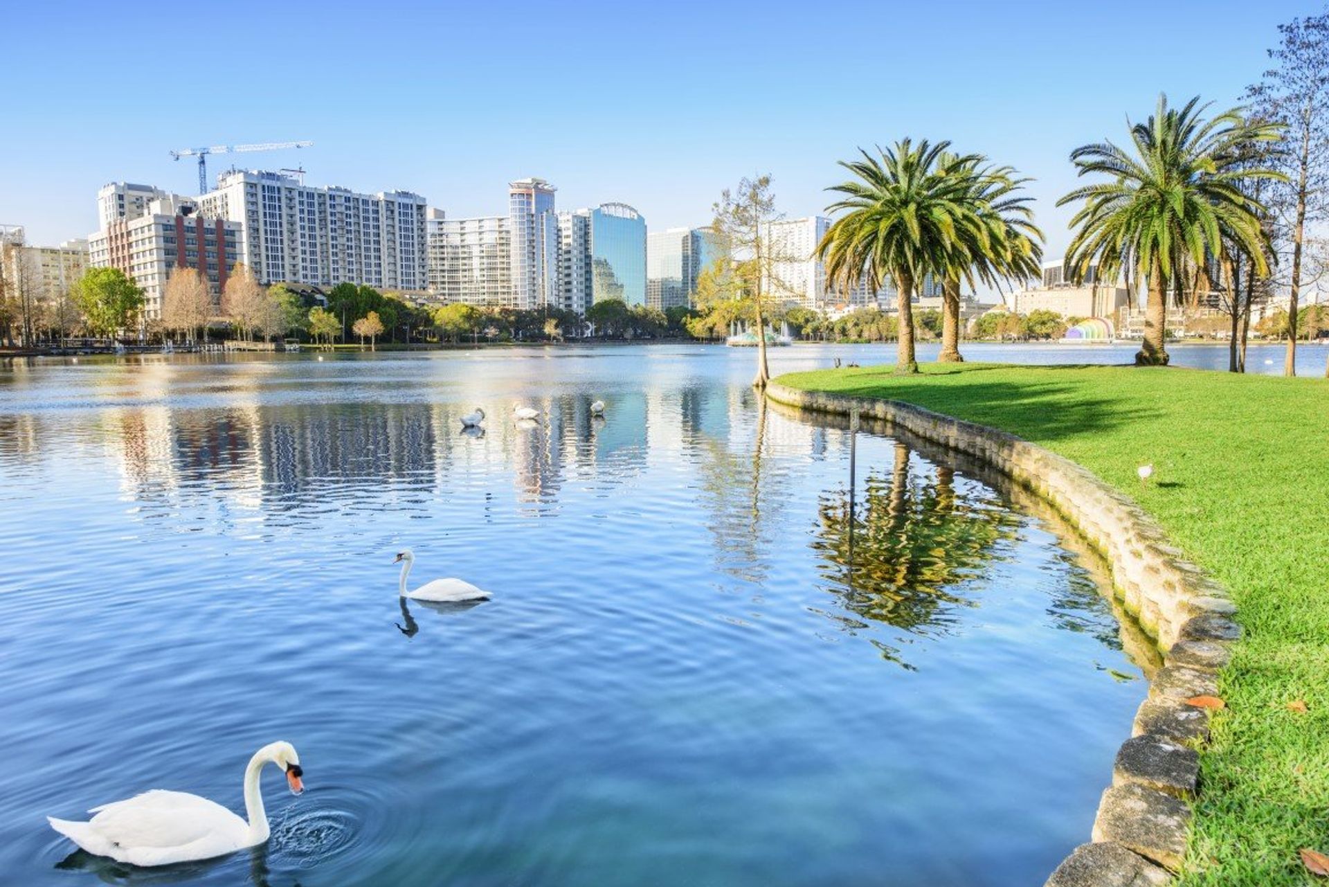 Take a swan boat down Lake Eola, home to 50 real life swans!