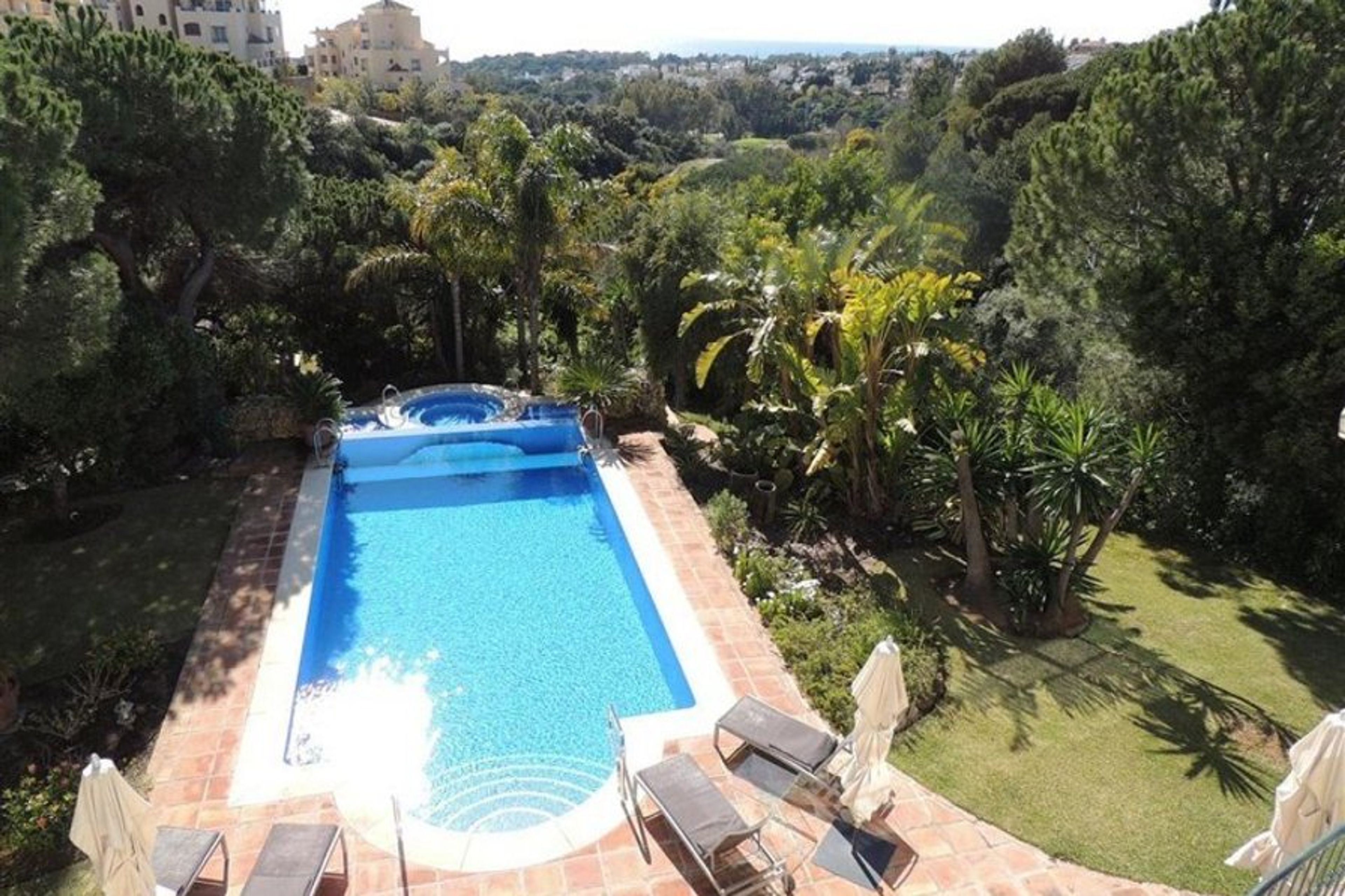 Crystal clear pool set within tropical gardens.