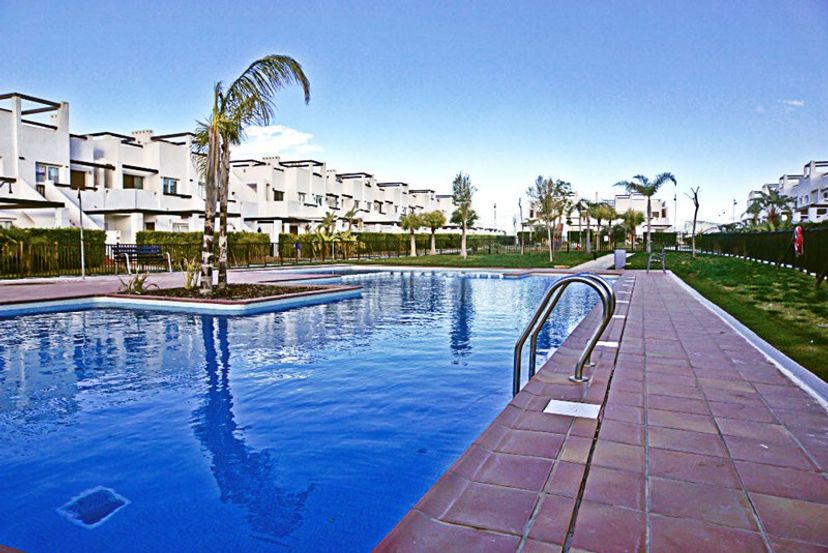 Apartment in Condado de Alhama, Spain: Pool area