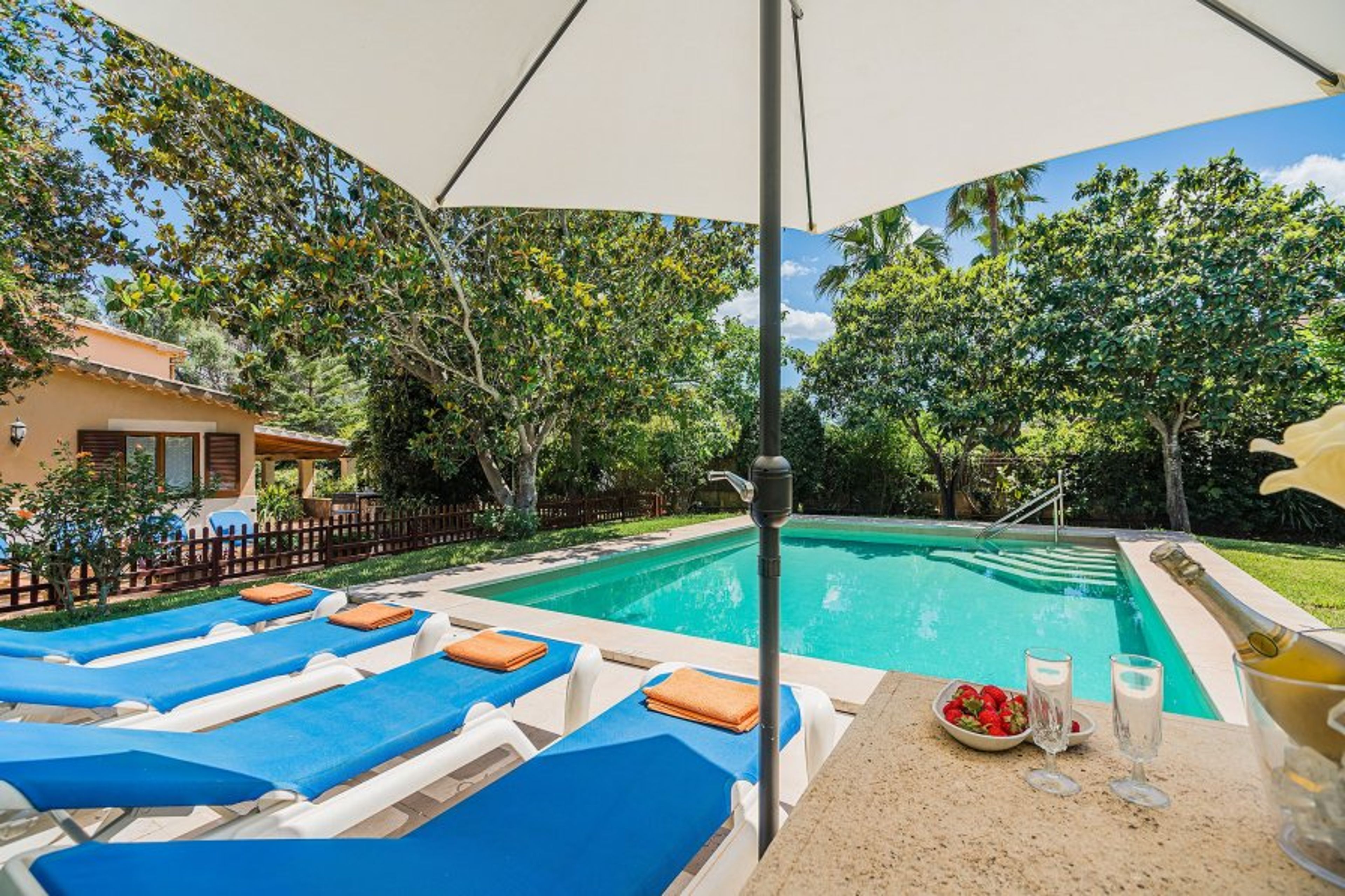 Solarium and pool