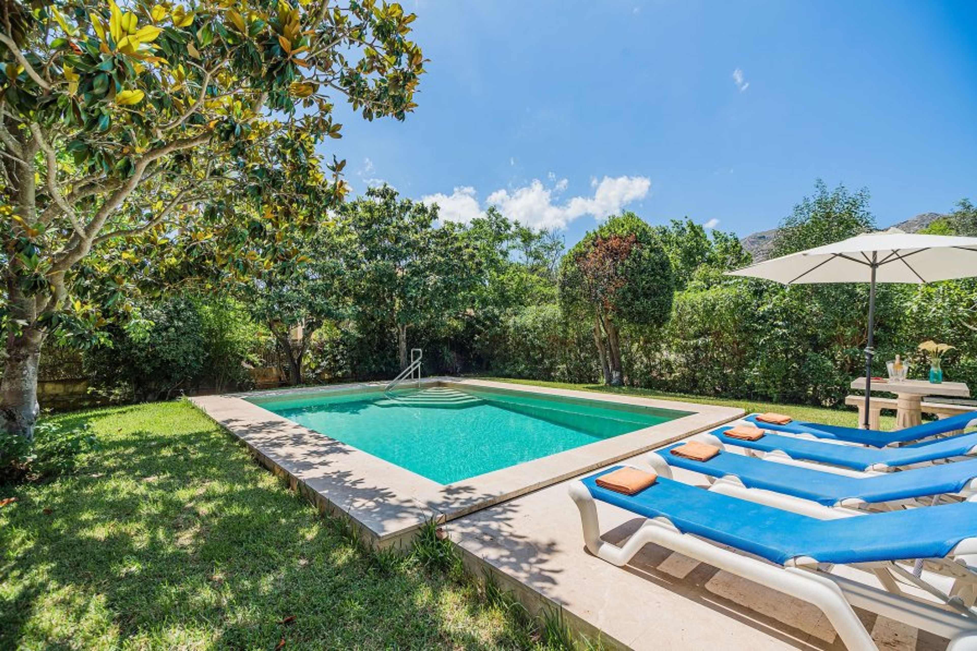 Solarium and pool