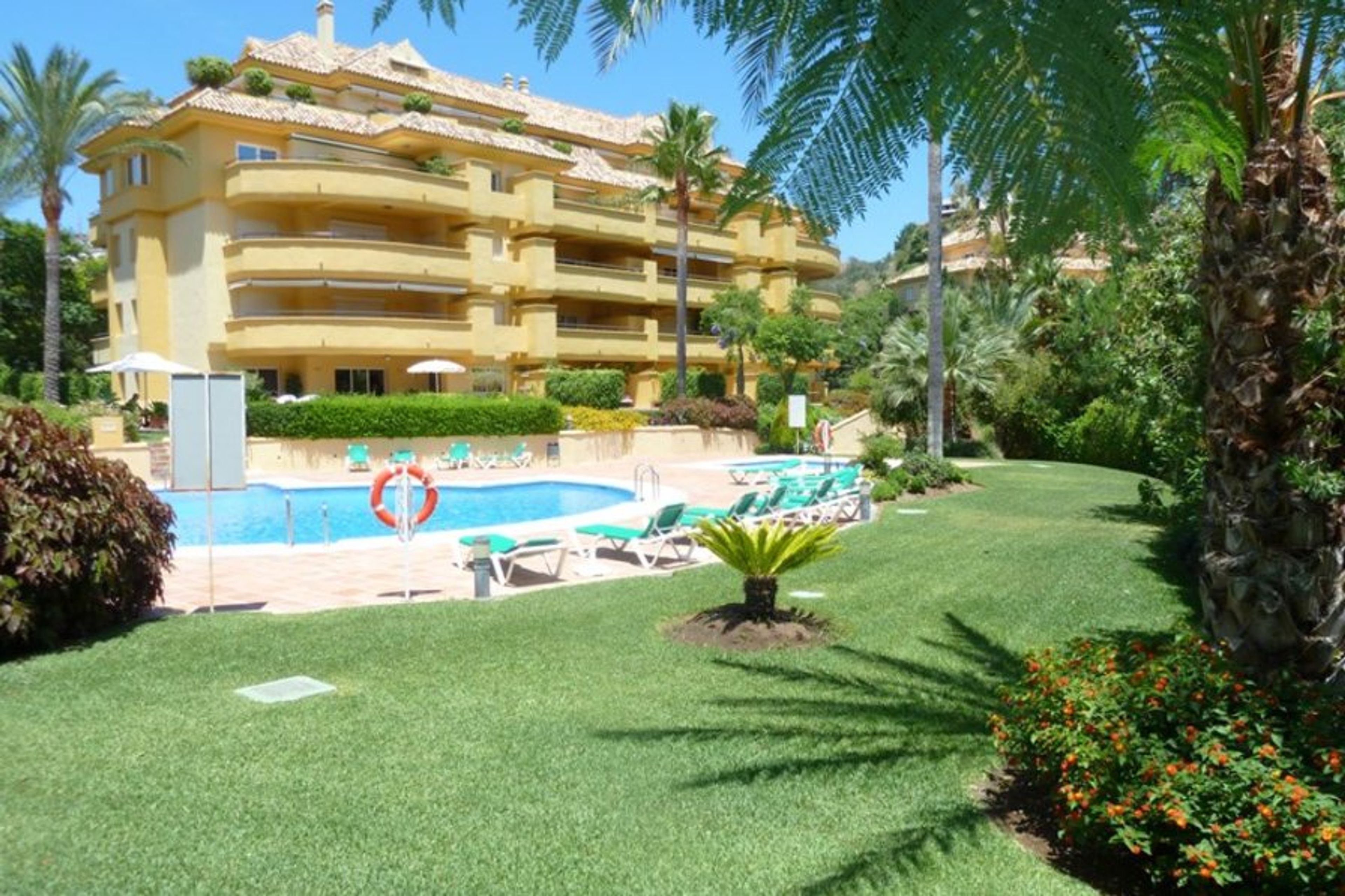 Communal garden & pool area with apt building behind. 