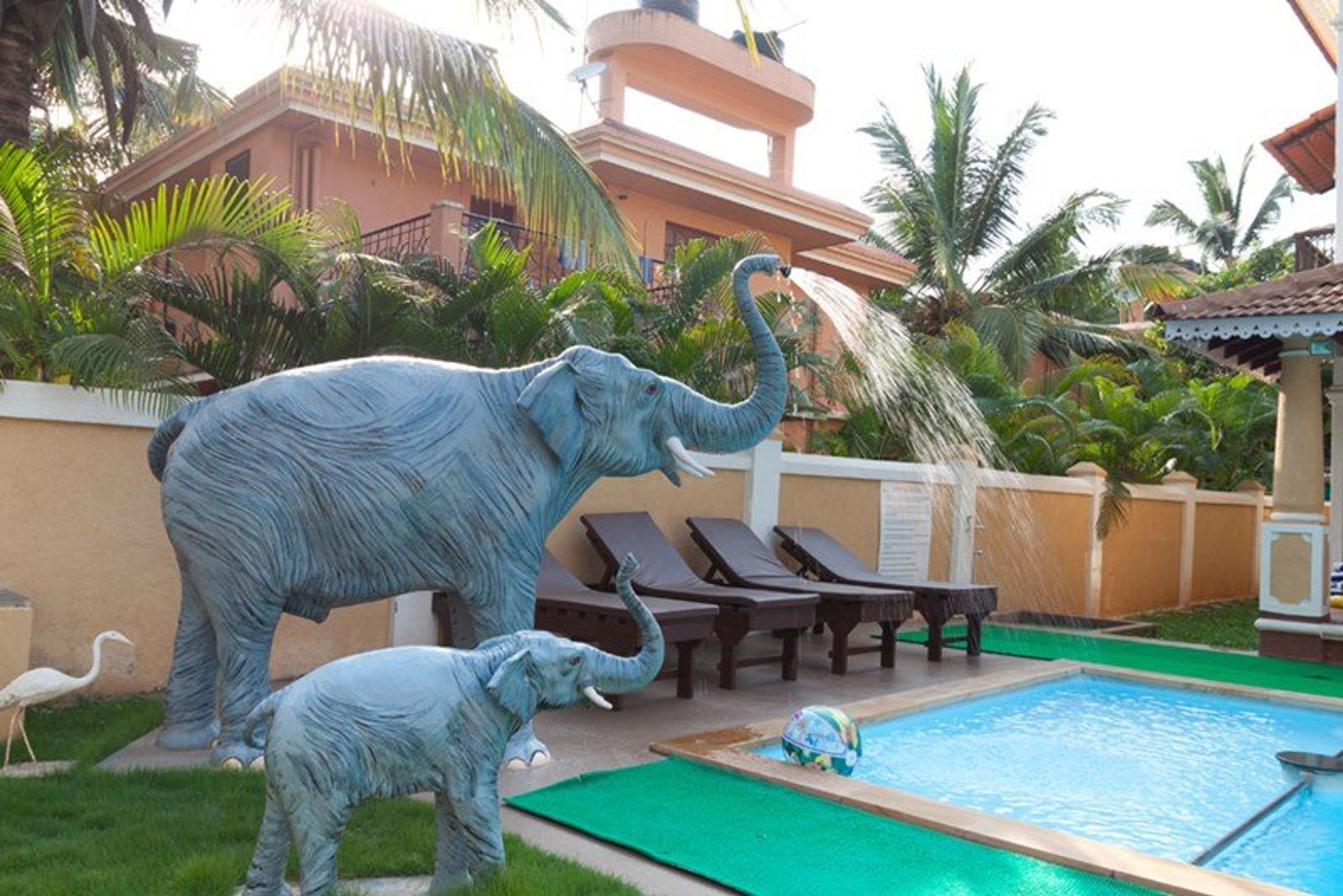 Villa with private swimming pool for rent in Calangute