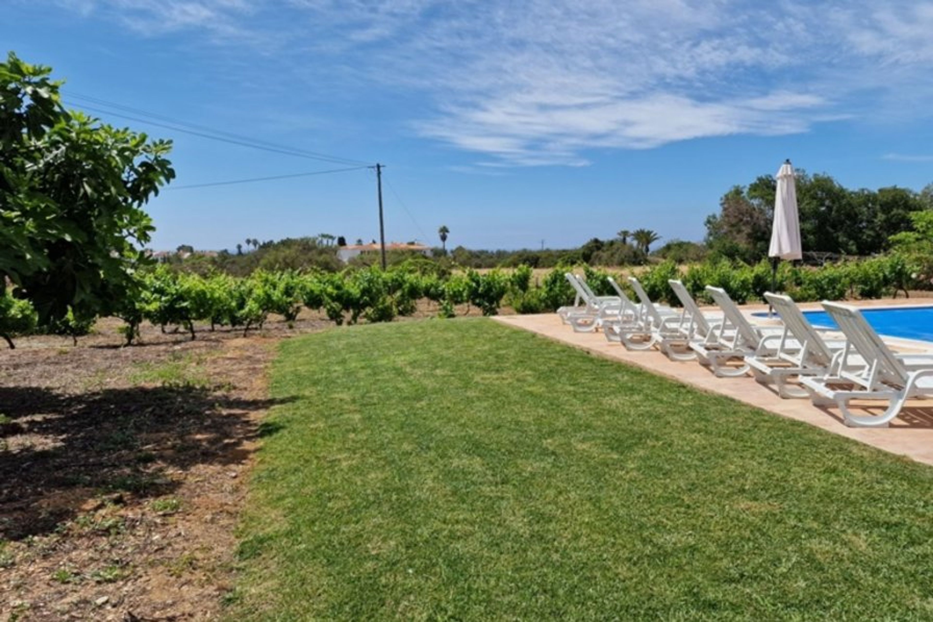 Lawned area surrounding the pool terrace