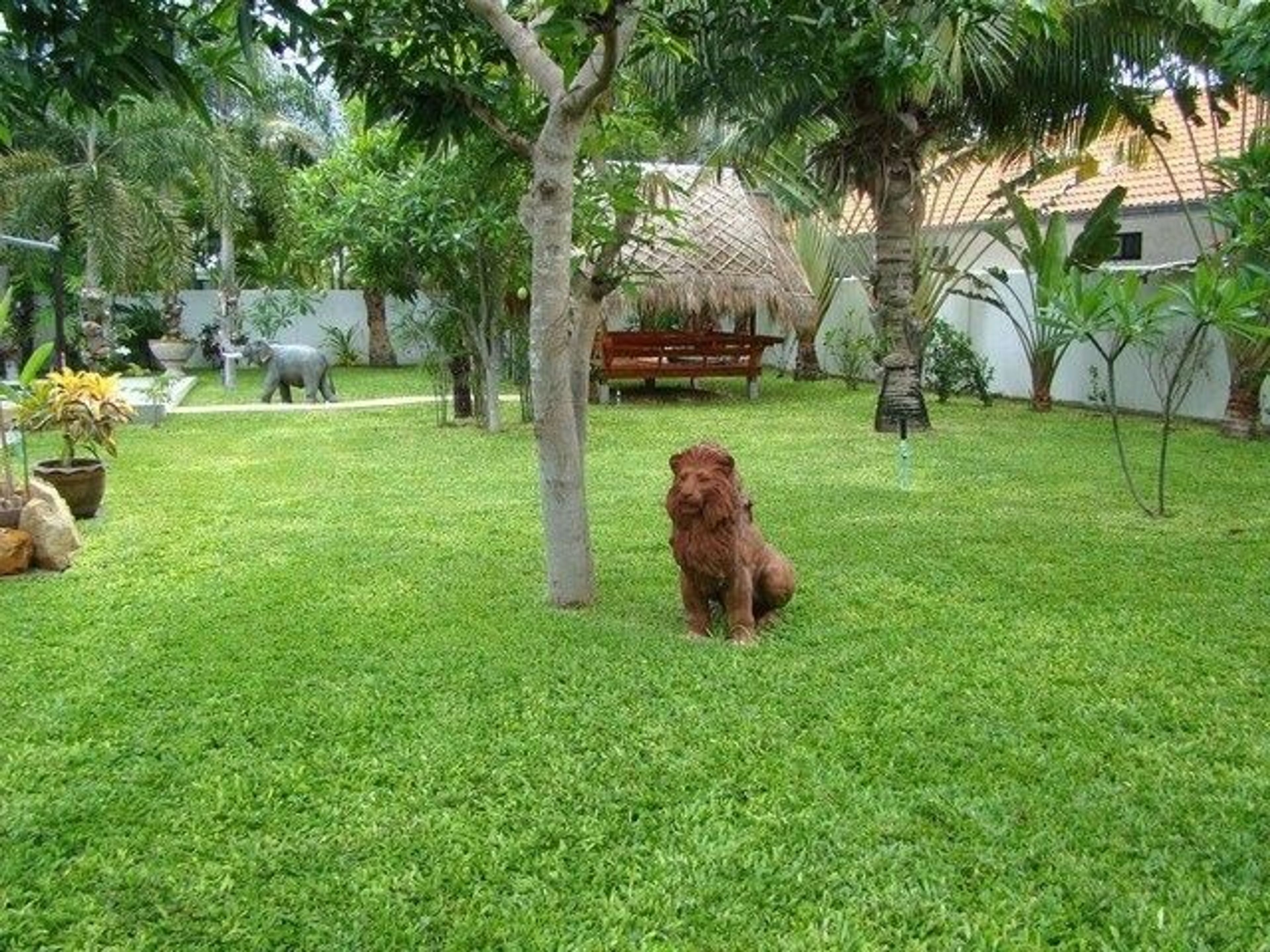 Picture Taken from South end of Garden