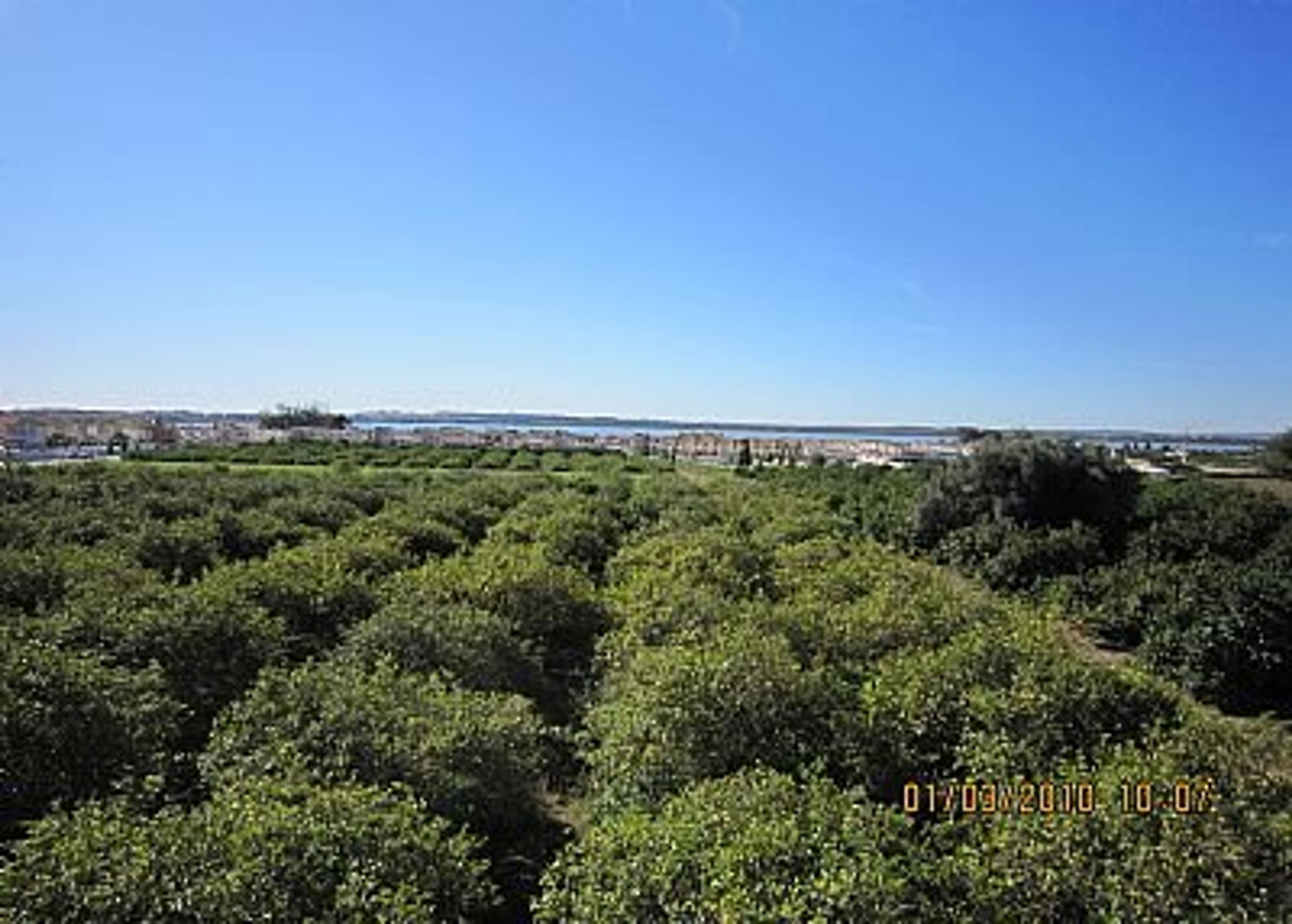 REAR VIEW OVER LEMON GROVES TO LA MATA SALT LAKE