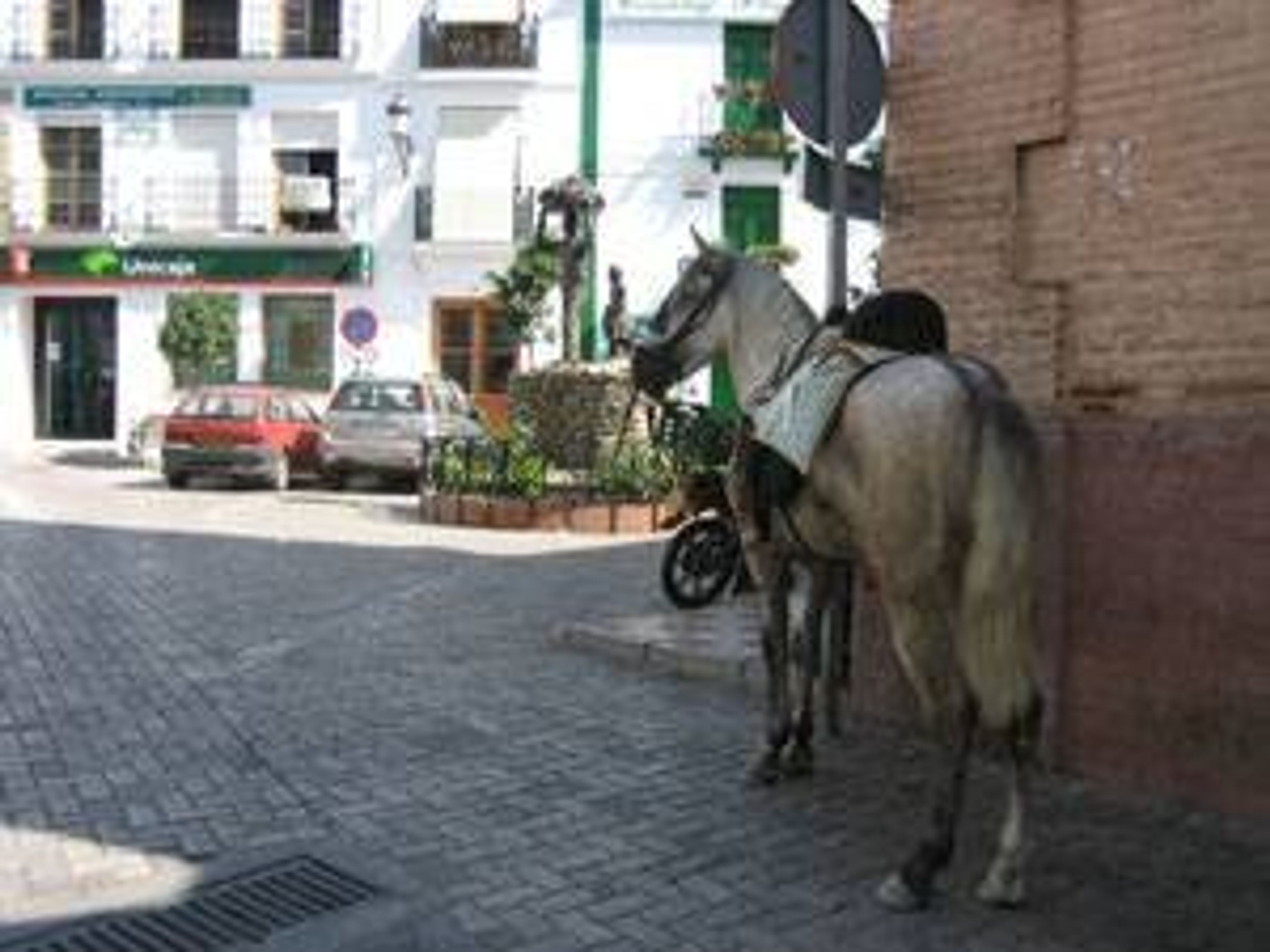 Plaza Almijara