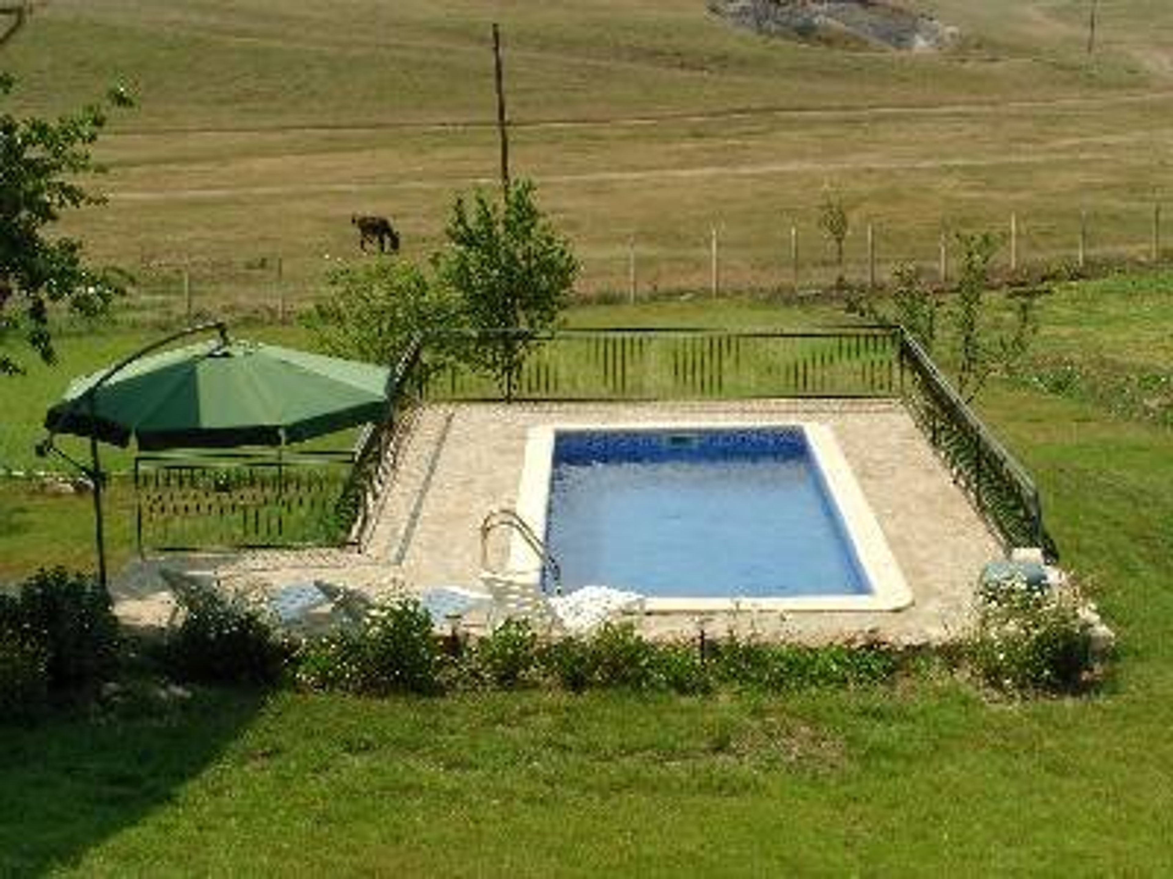Pool area with barbecue, loungers and parasol