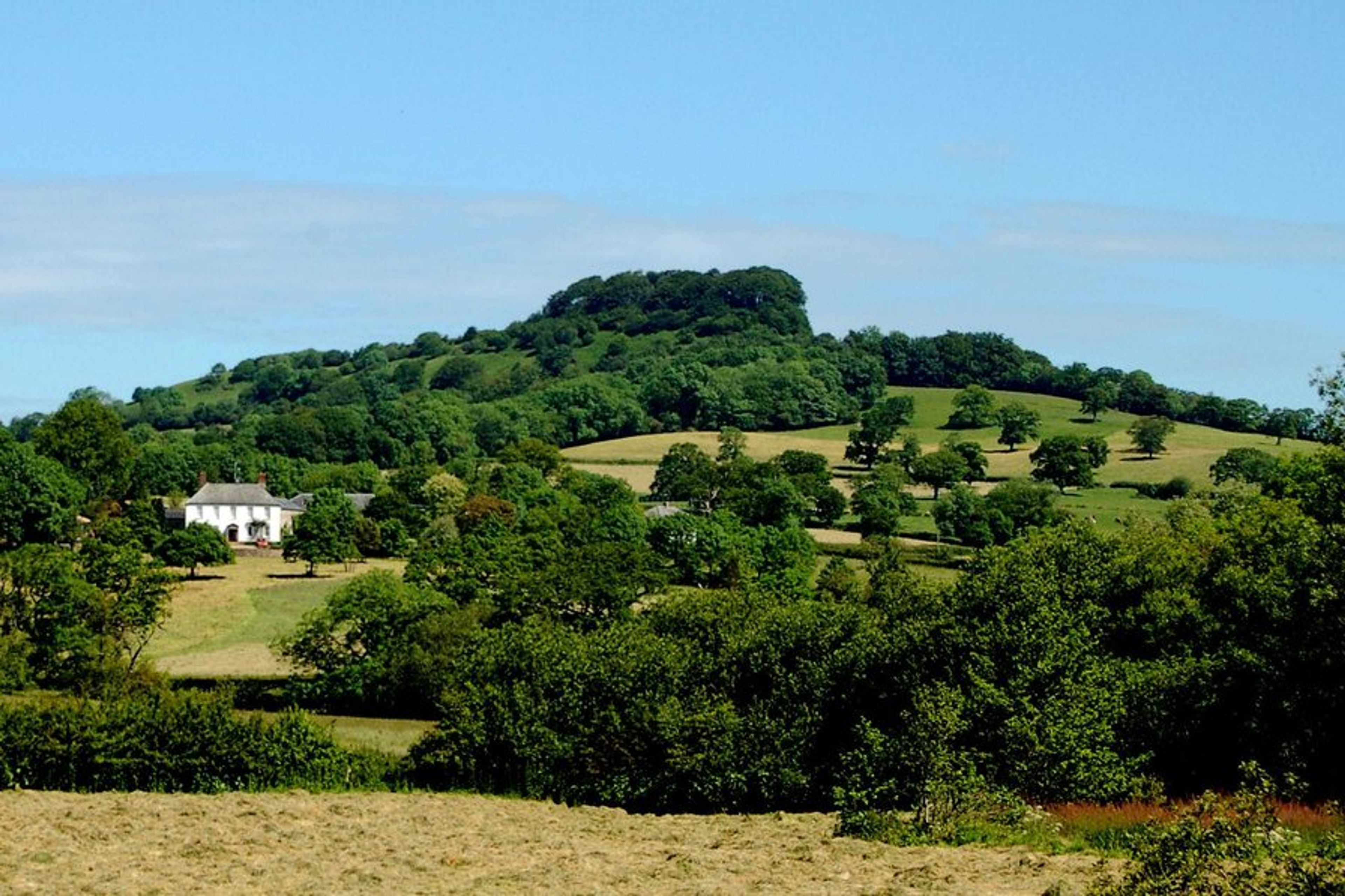 Woodhayes Farm where Orchard Barn is located. 