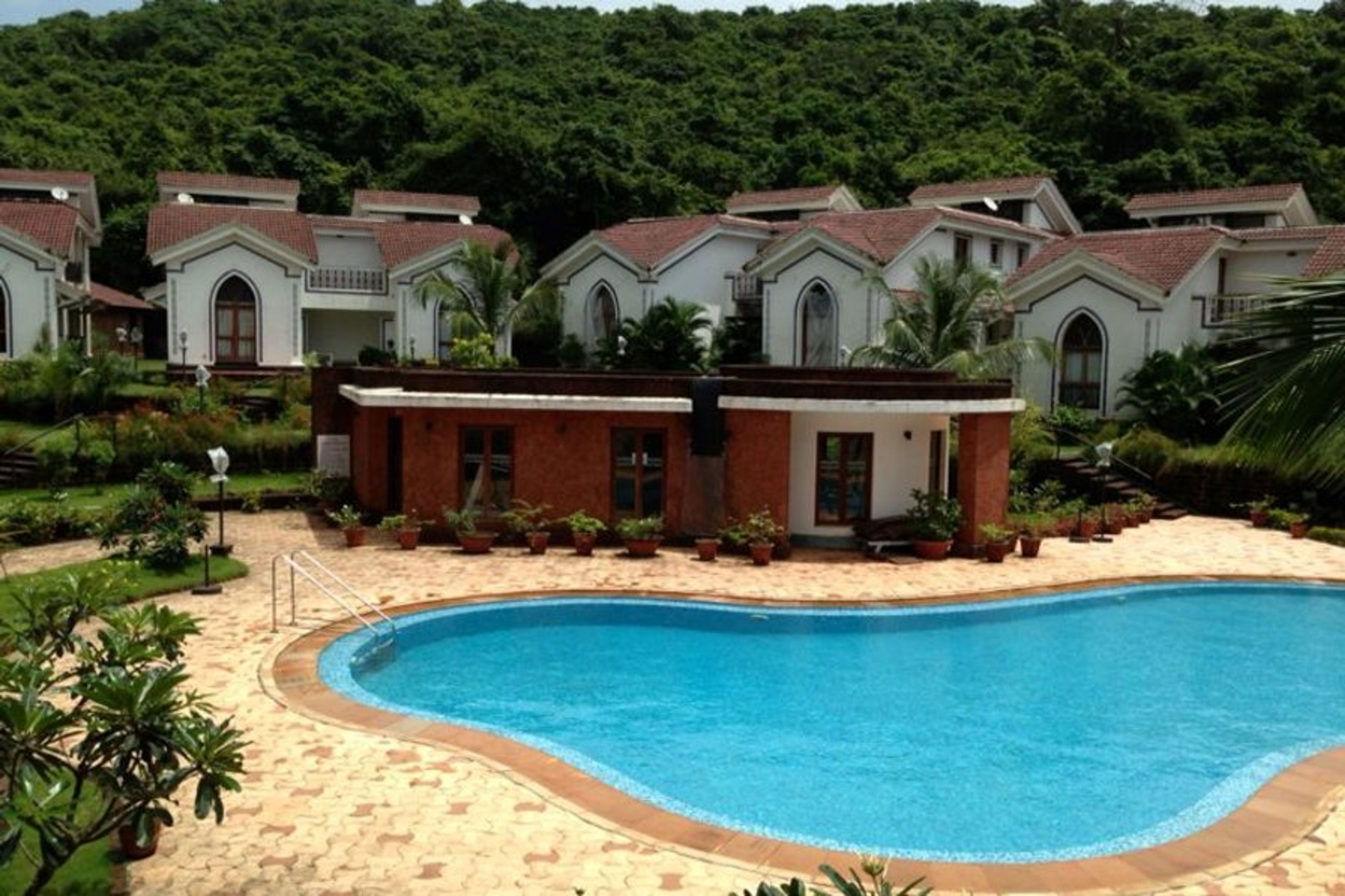 Pool in the condo and the Forested area in Background