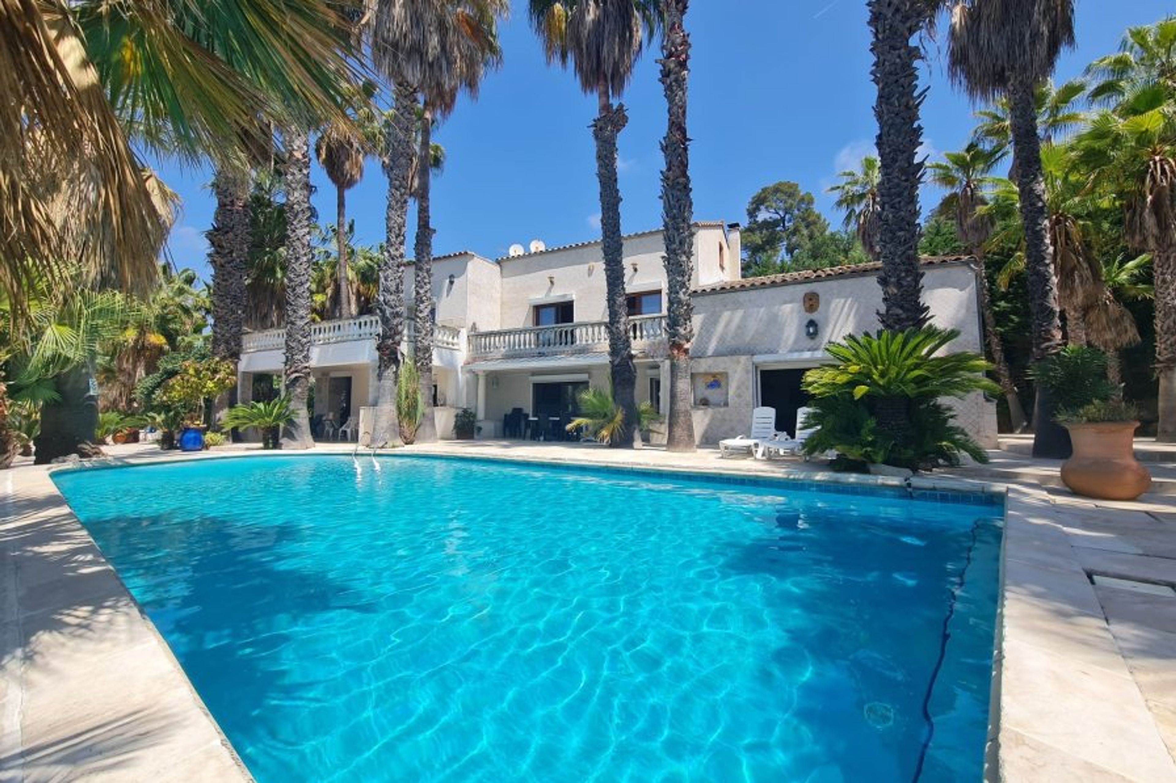 Very spacious villa Les Palmiers - Huge private pool: 12m x 6m!