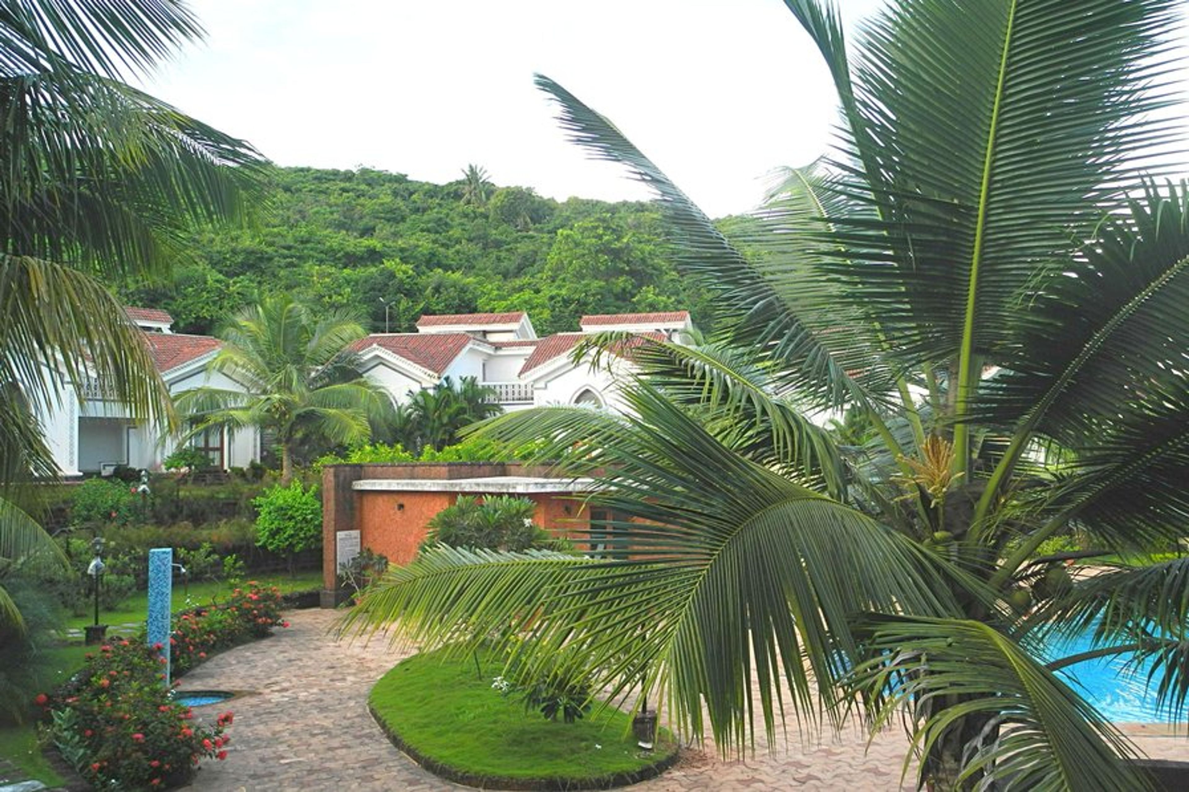 Aerial View of the Condo