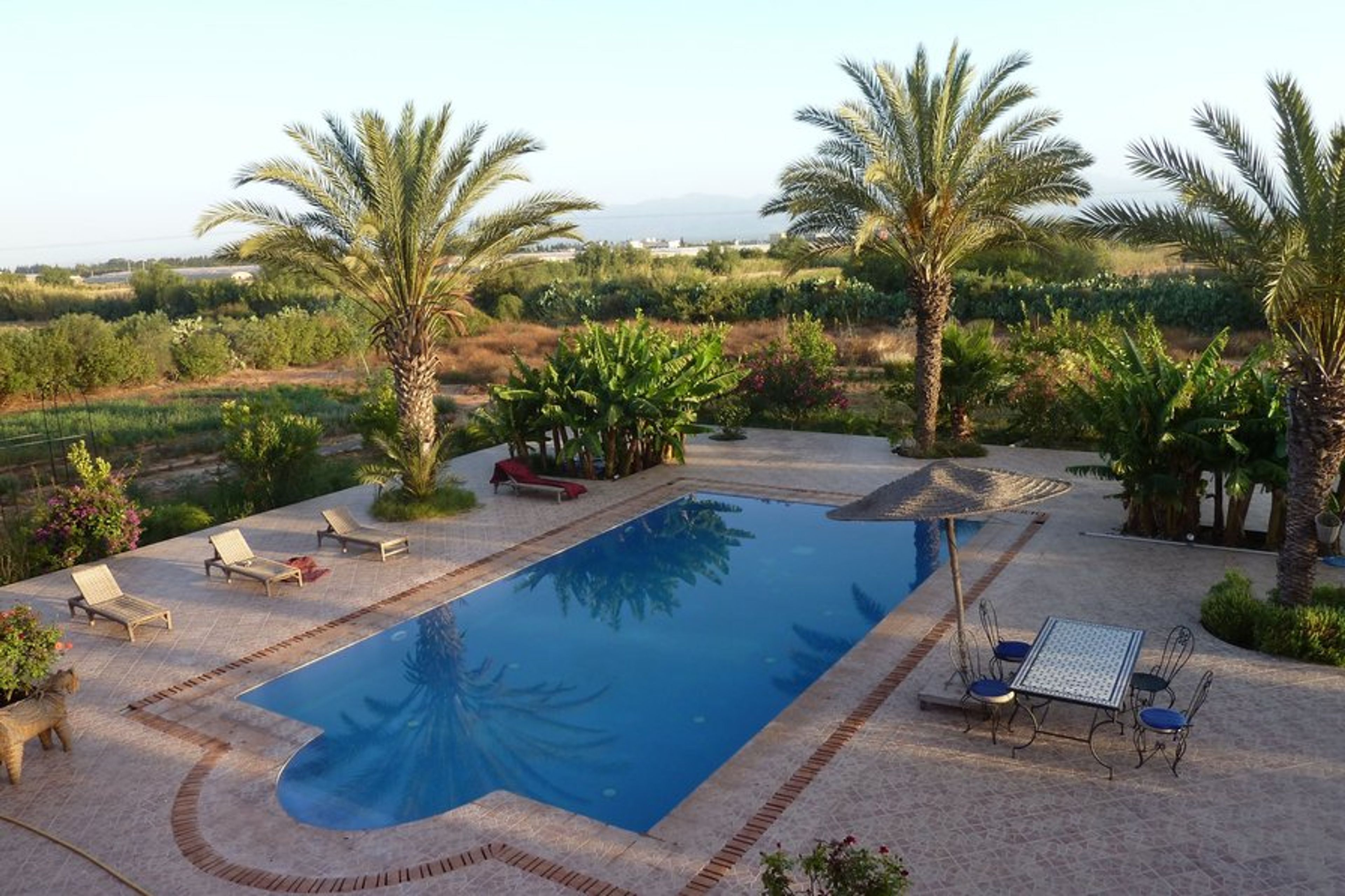 Swimmingpool, palmtrees, bananatrees