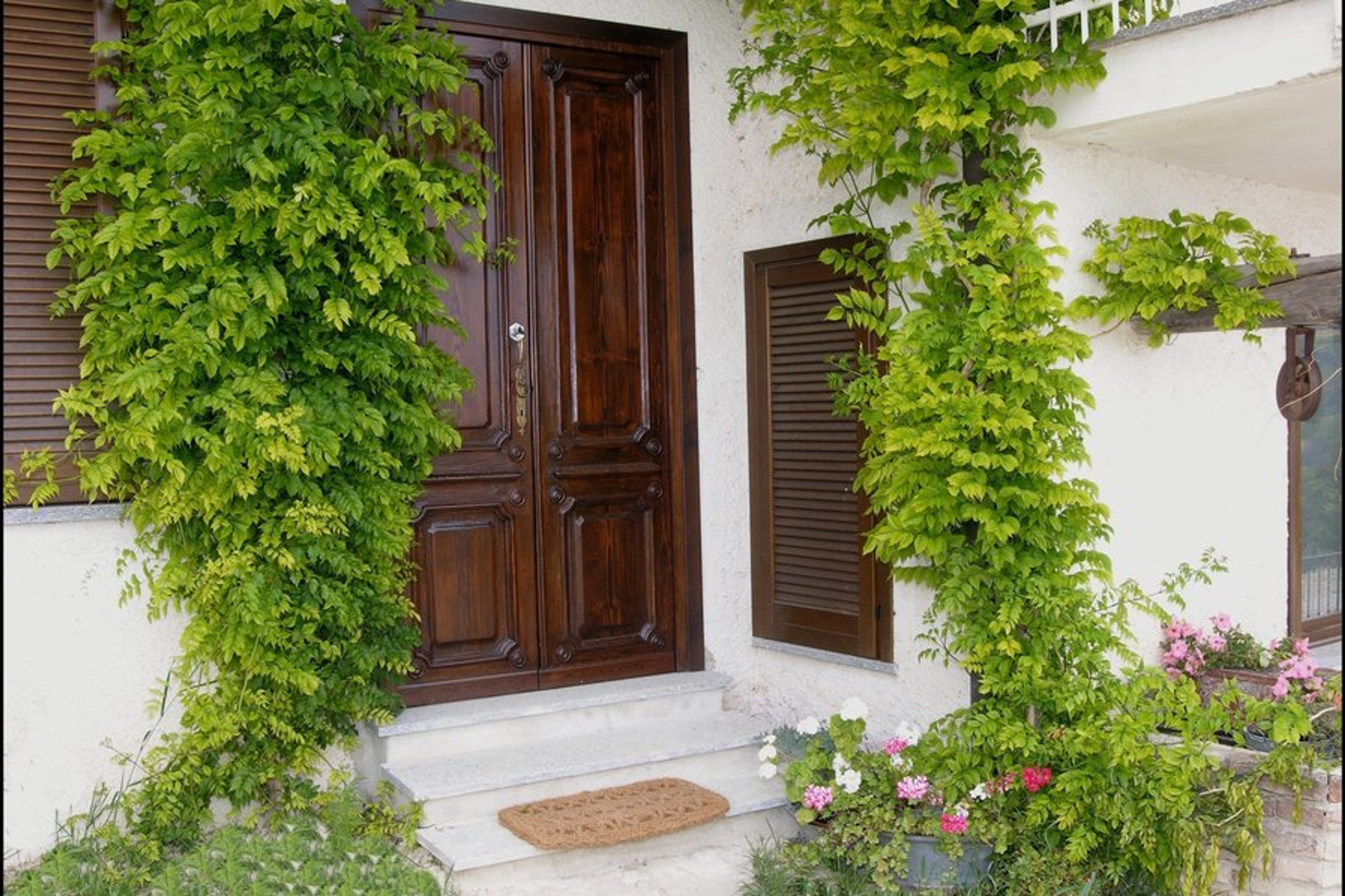 entrance door