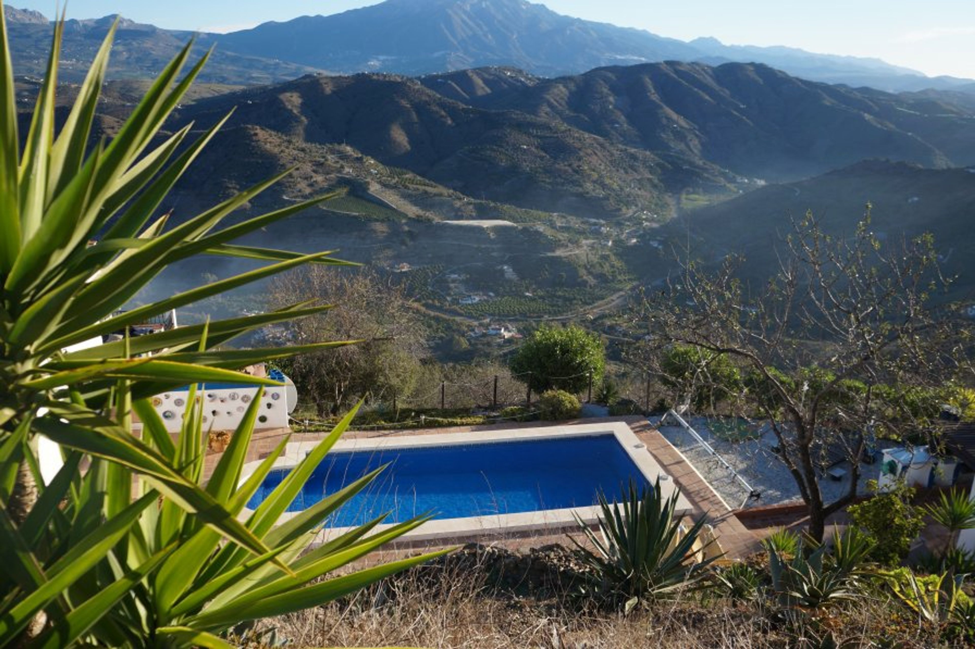 The Lovely 8 x 4 Roman Stepped Pool at Vine Ridge Retreats