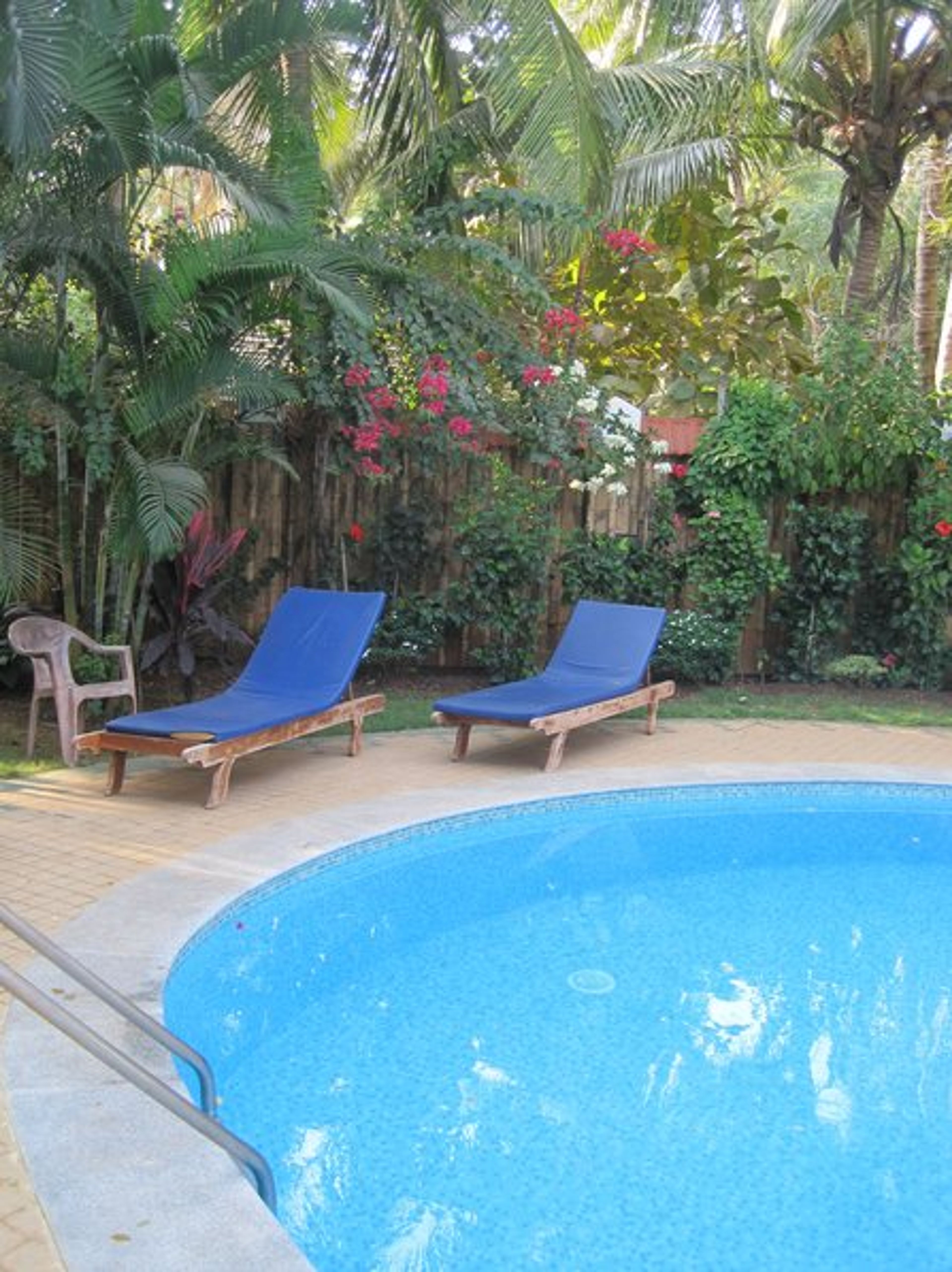 Swimming pool among greenery 