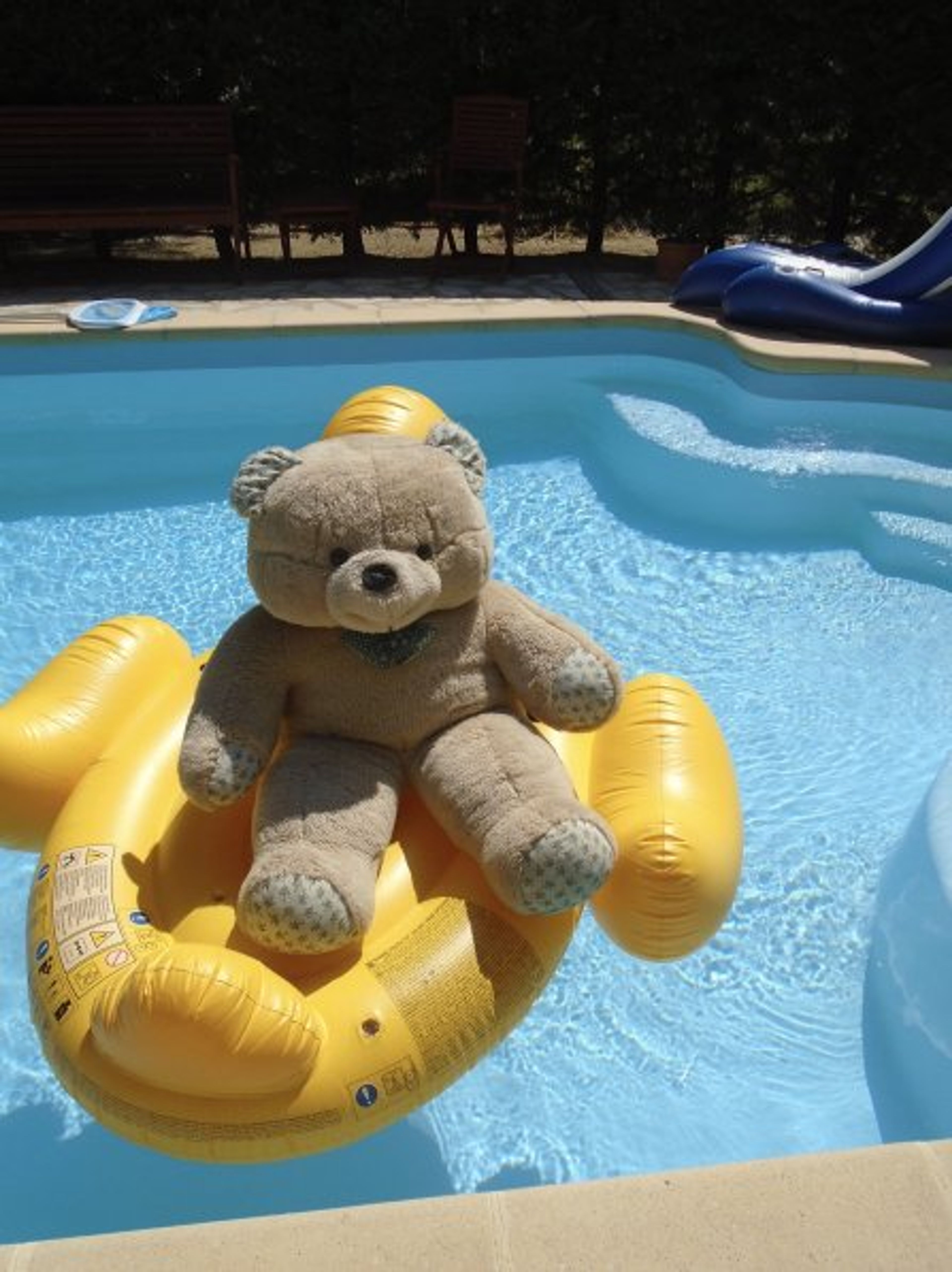Come and play with Wilfred!
