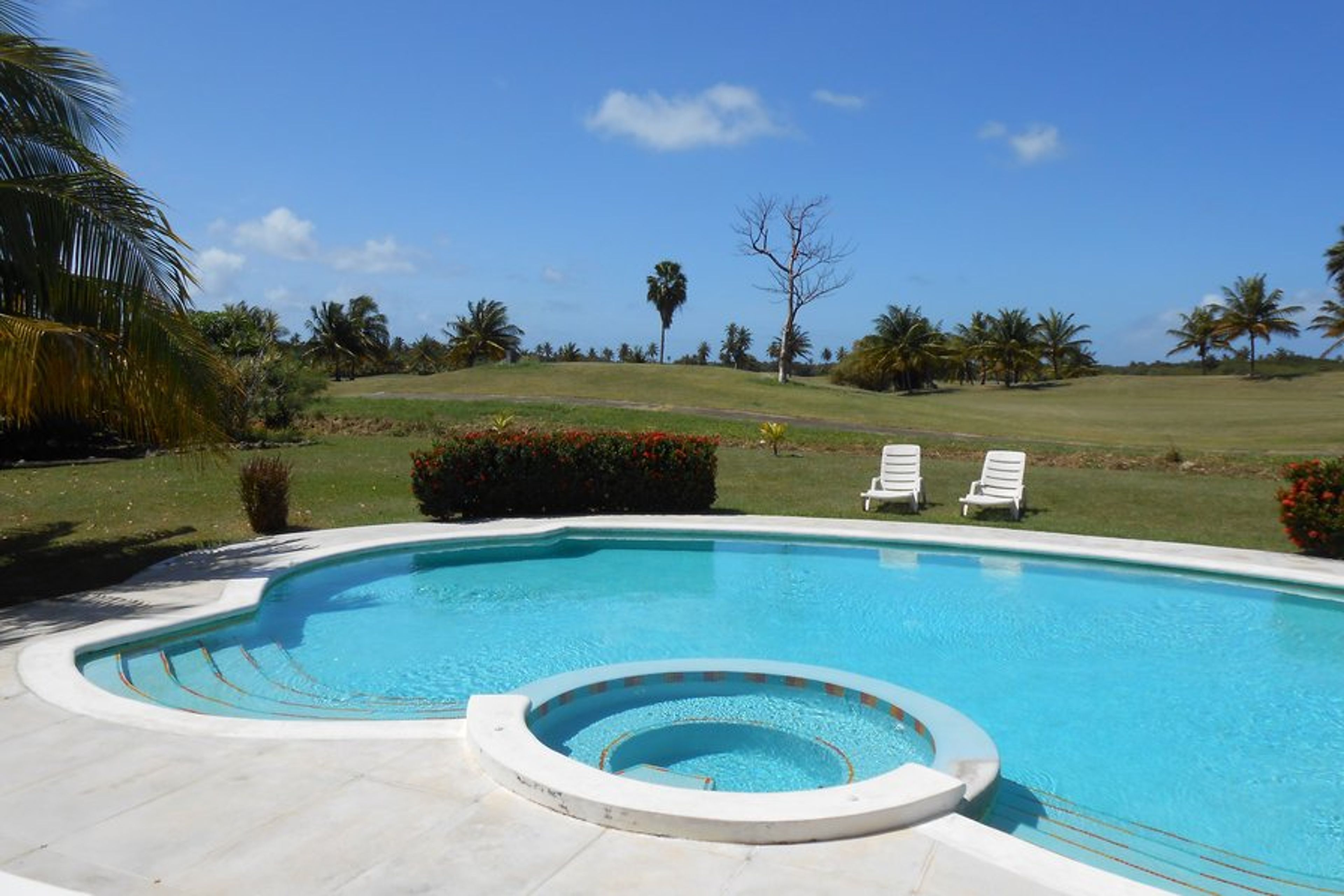 Swimming pool and jacuzzi