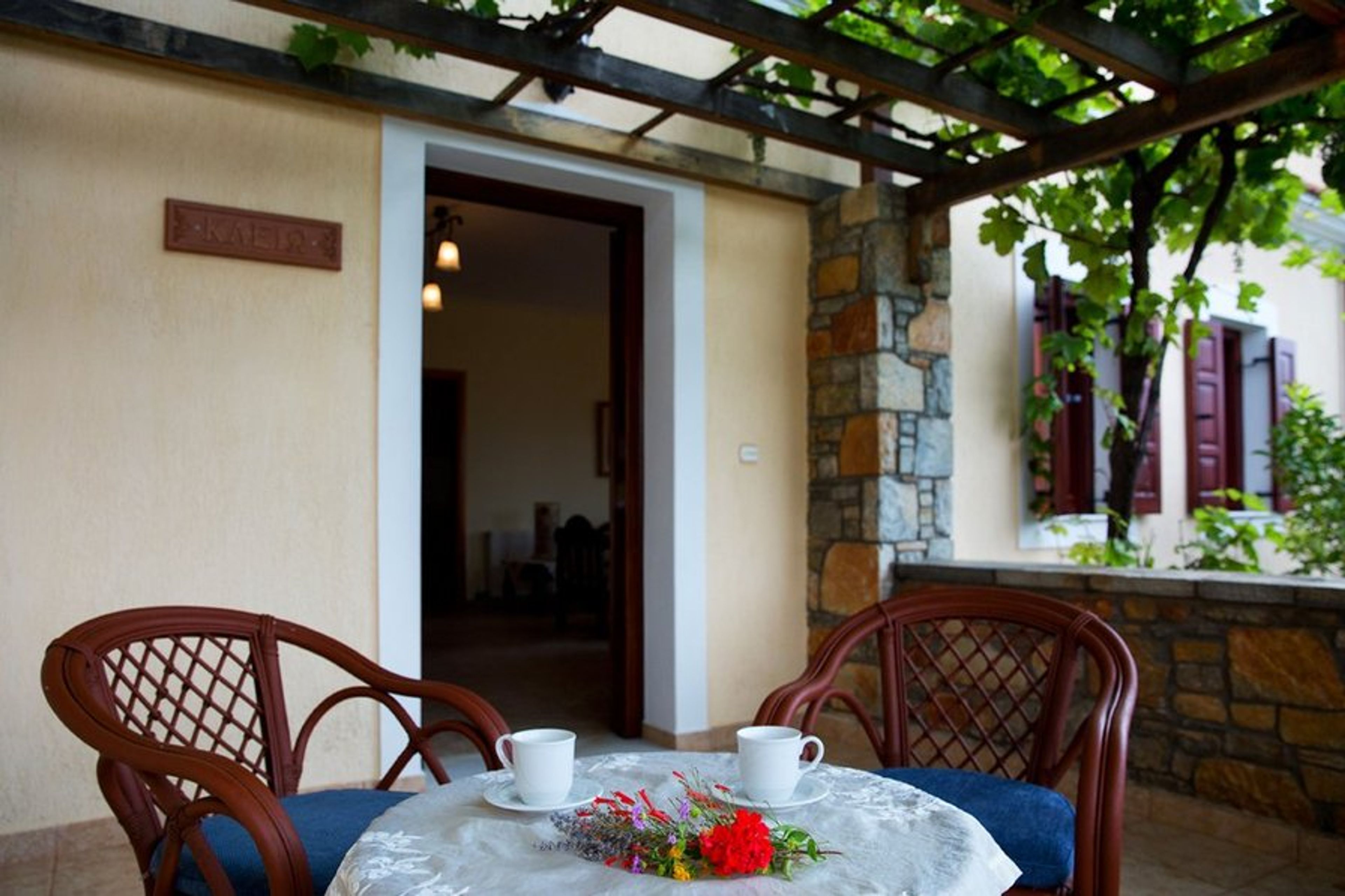 Morning coffee under the trees