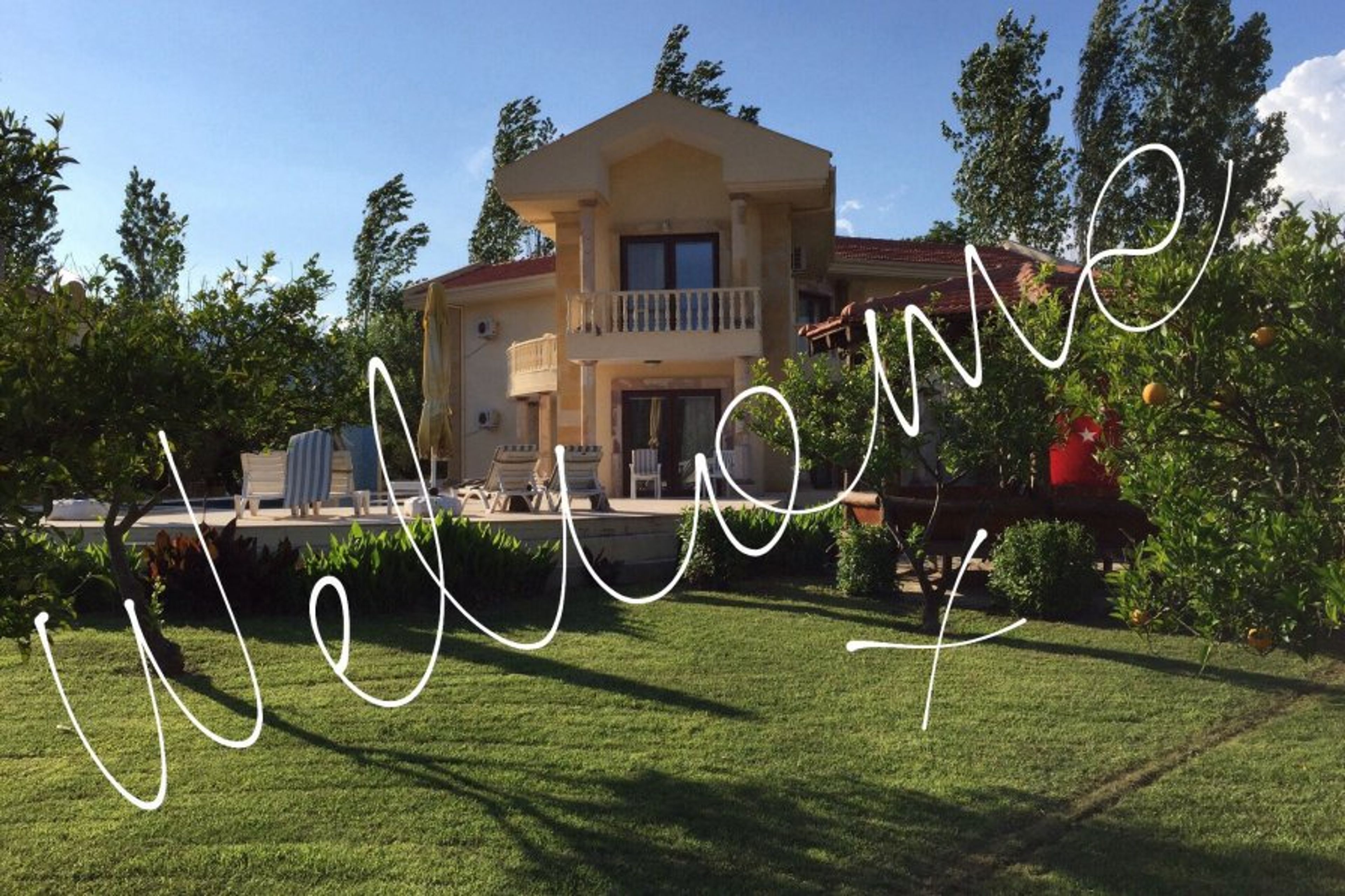 We will look after you .
