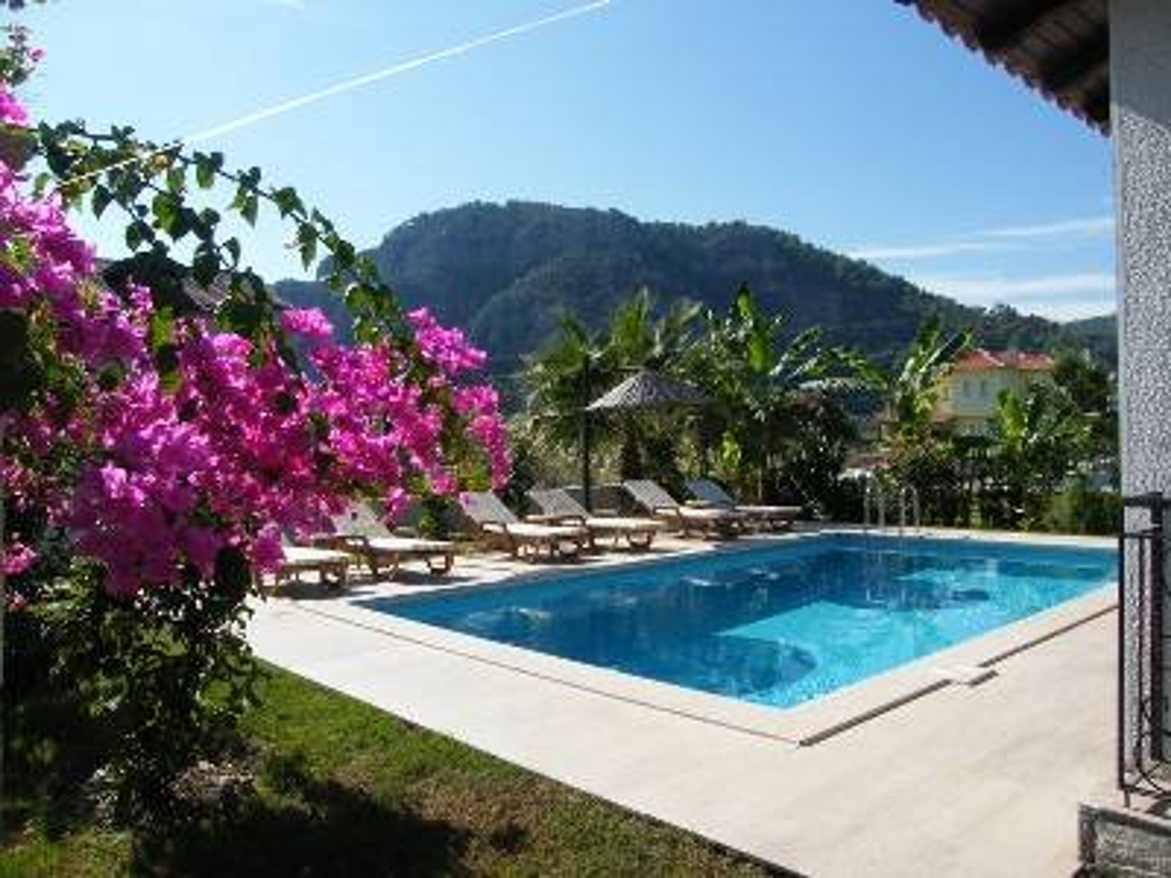 The Pool and Mountains