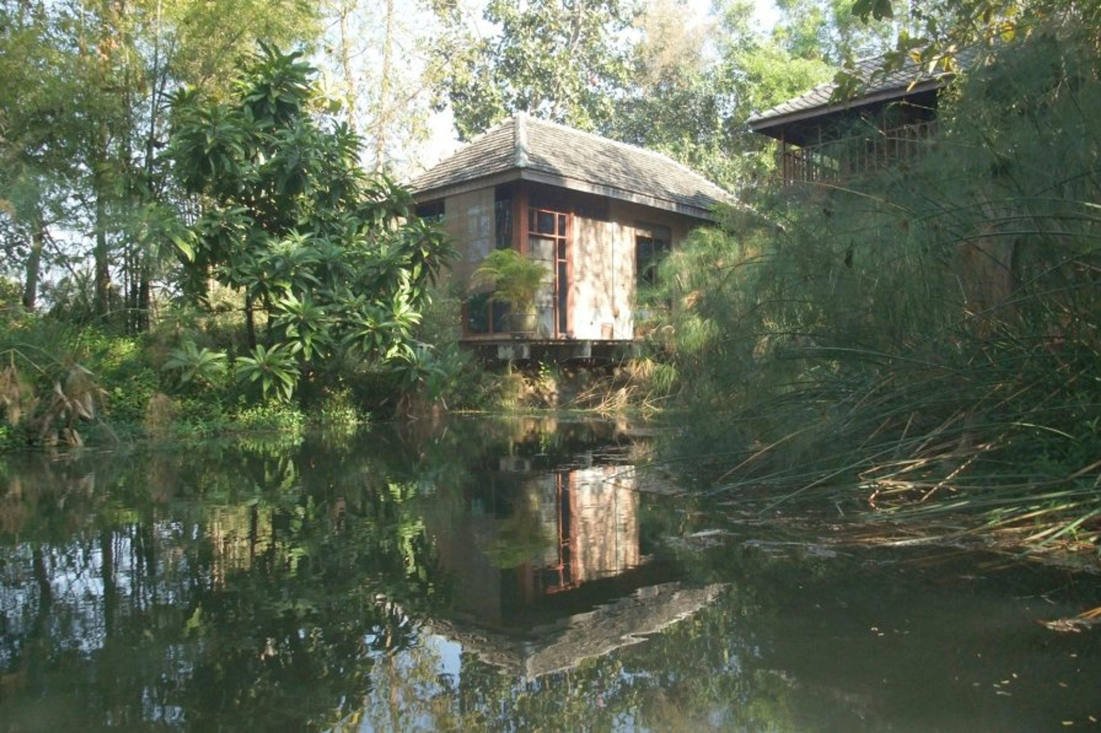 Dillenia Bungalow, view from pond