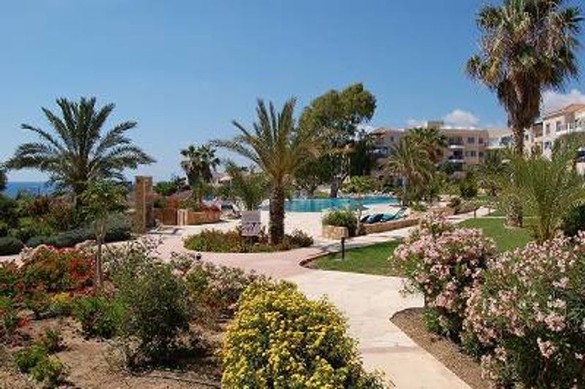 Apartment in Kato Paphos, Cyprus: Pool area
