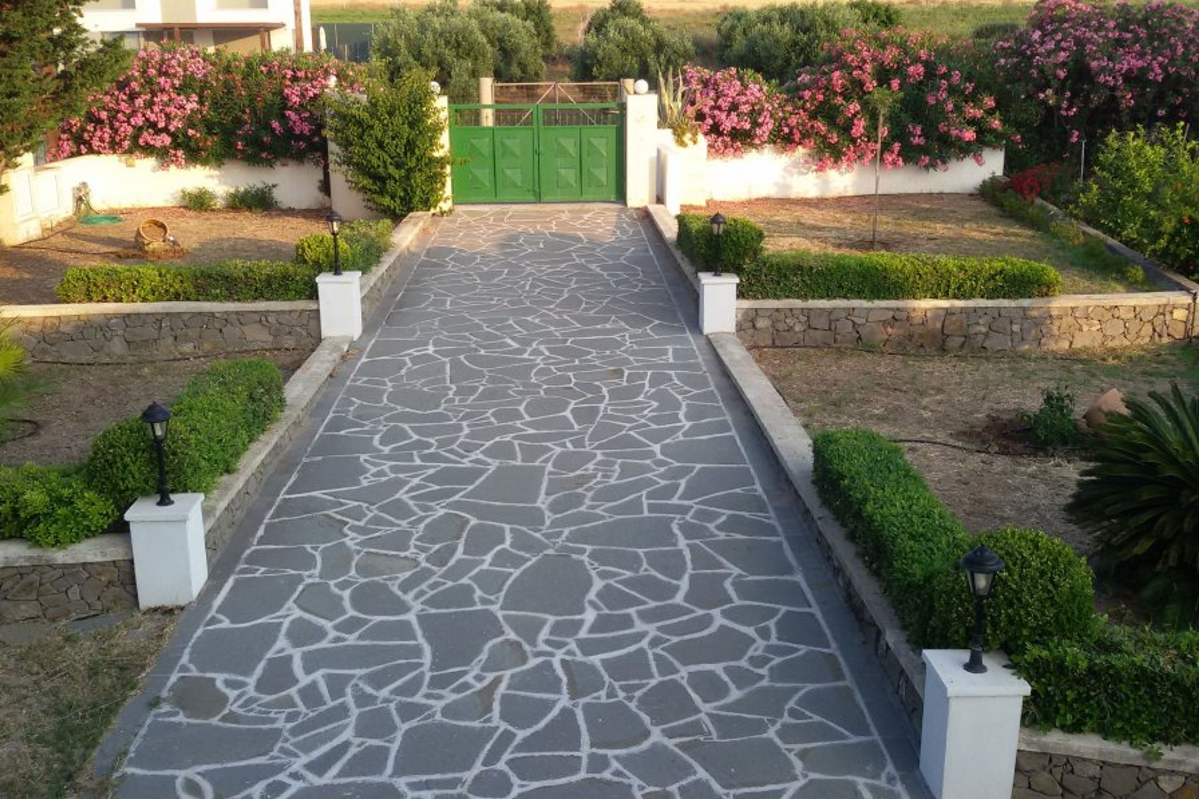 Garden view