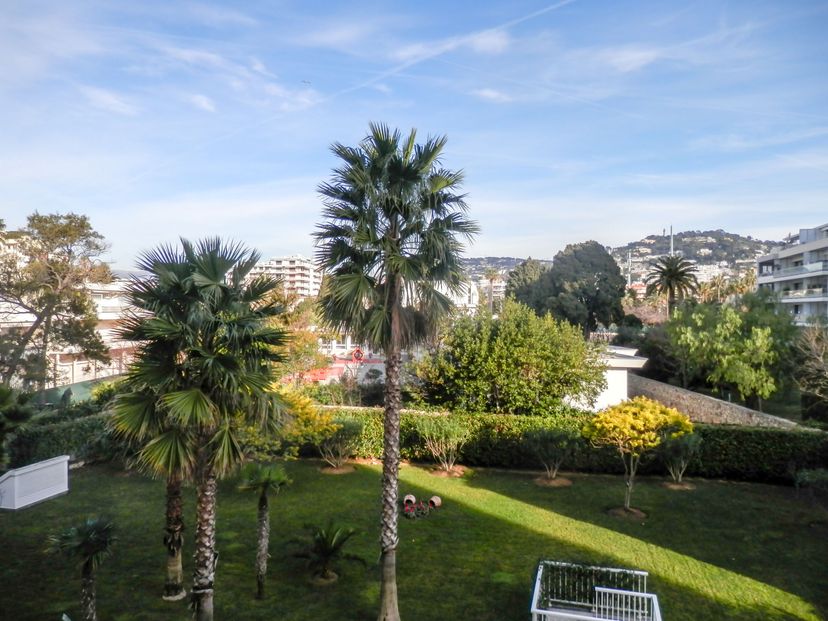 Apartment in Cannes, the South of France