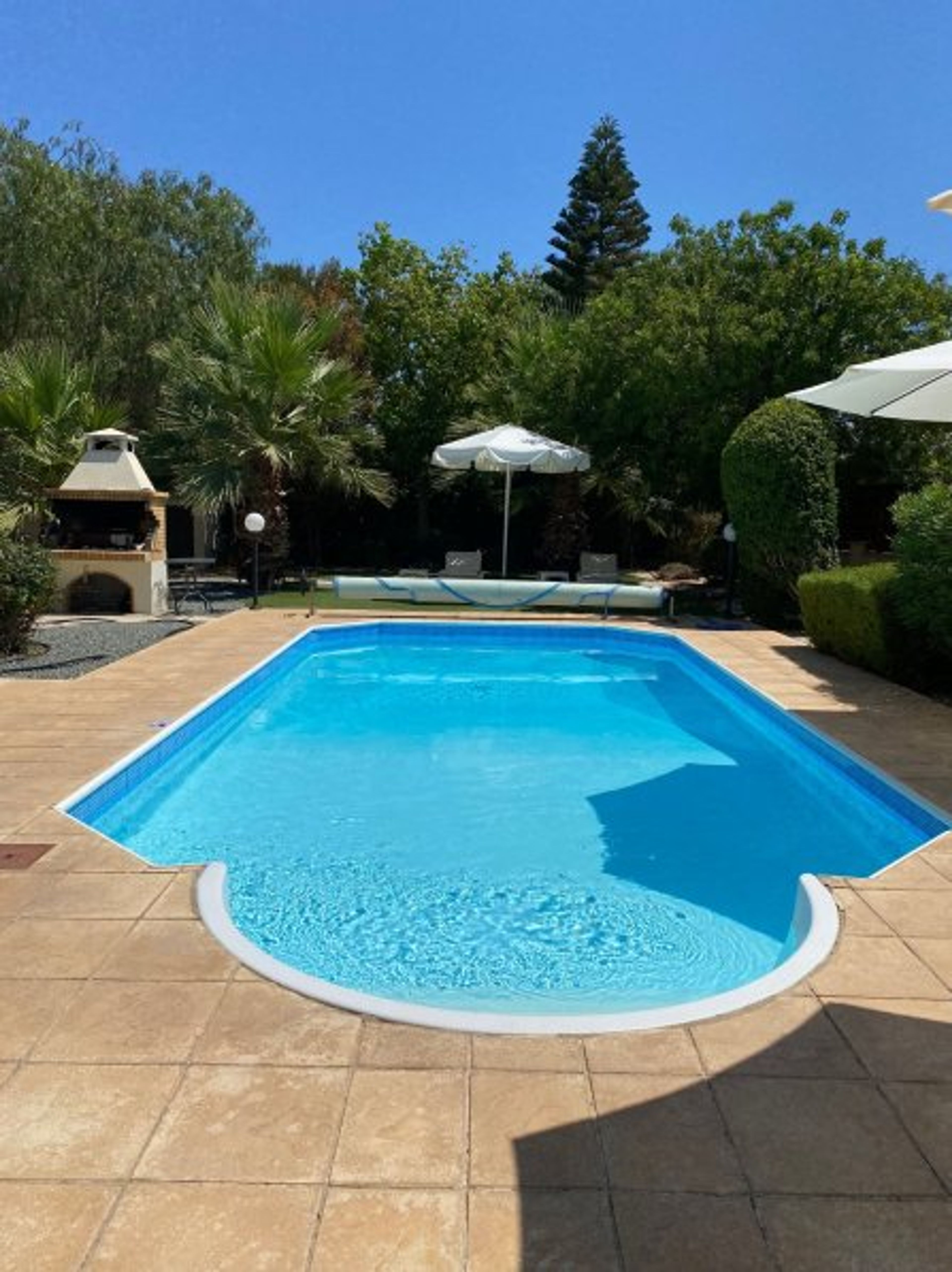 Mature gardens surrounding the pool