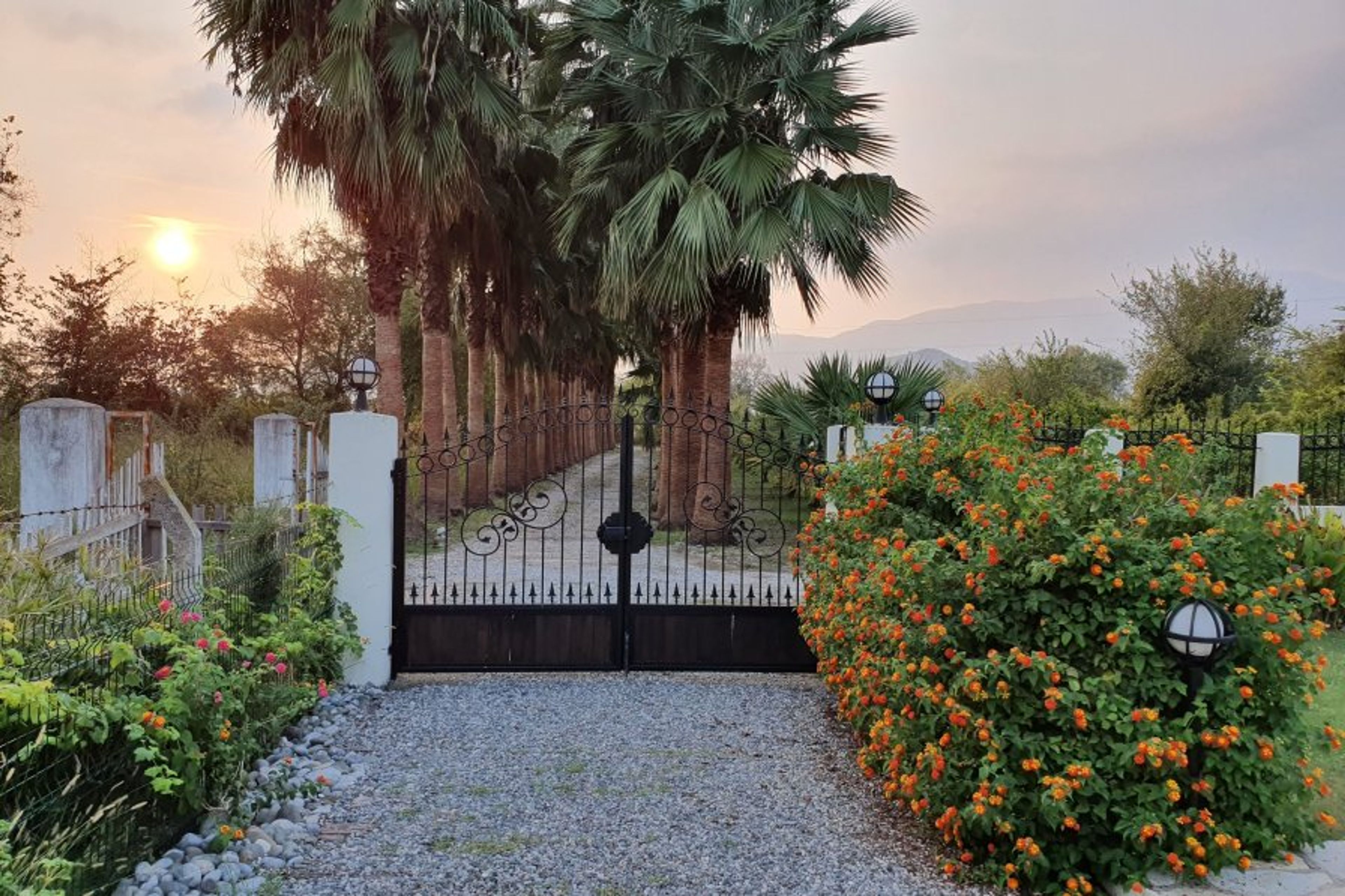 Front Gates and driveway