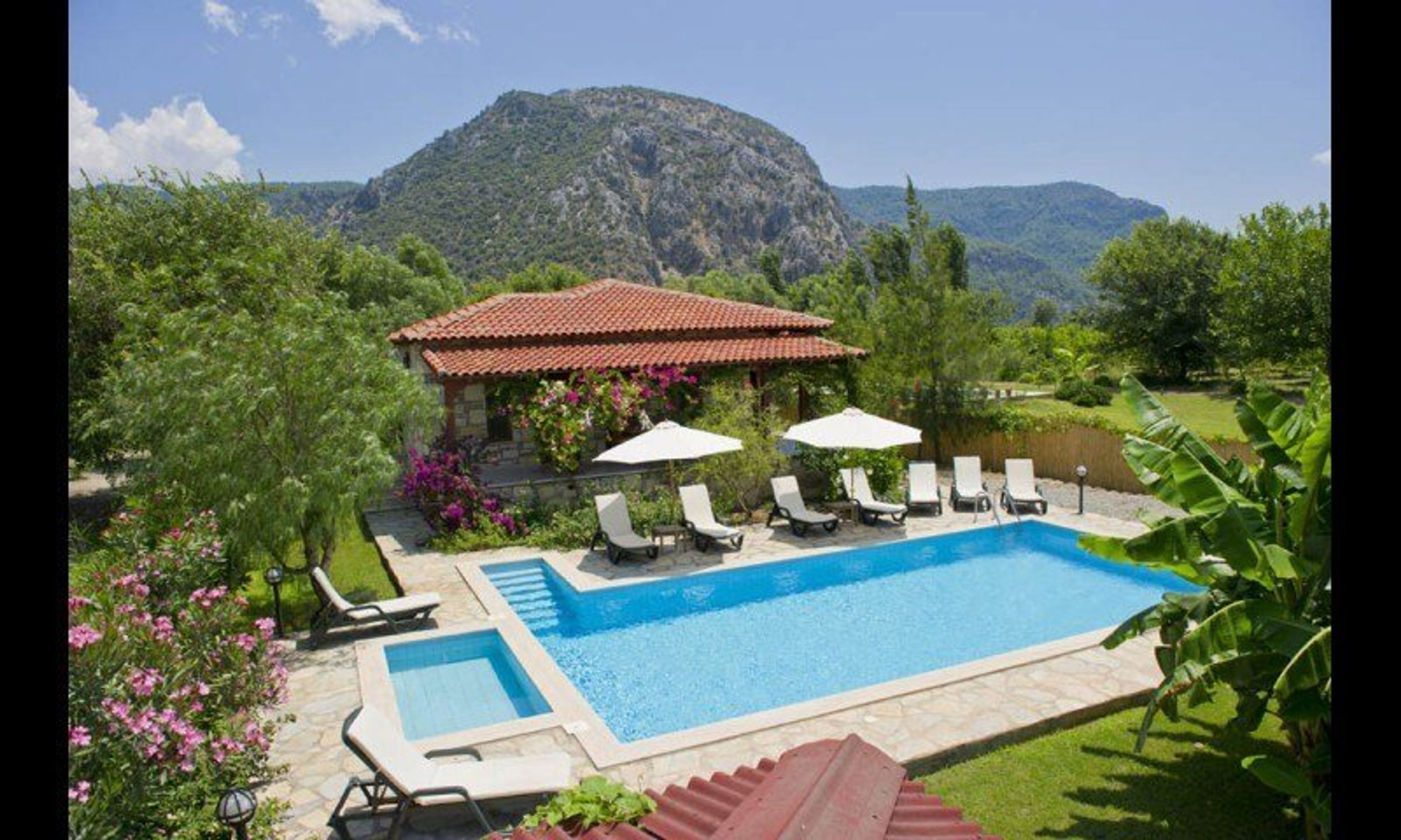 Pool and Front Garden