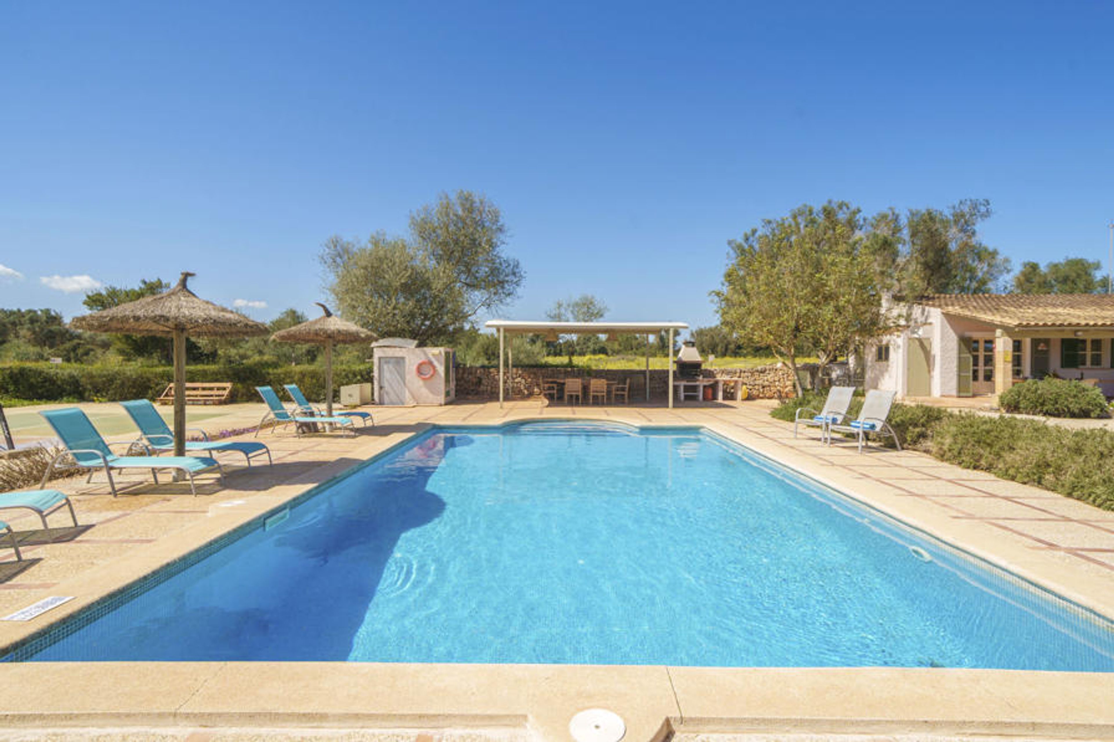 Pool Outdoor