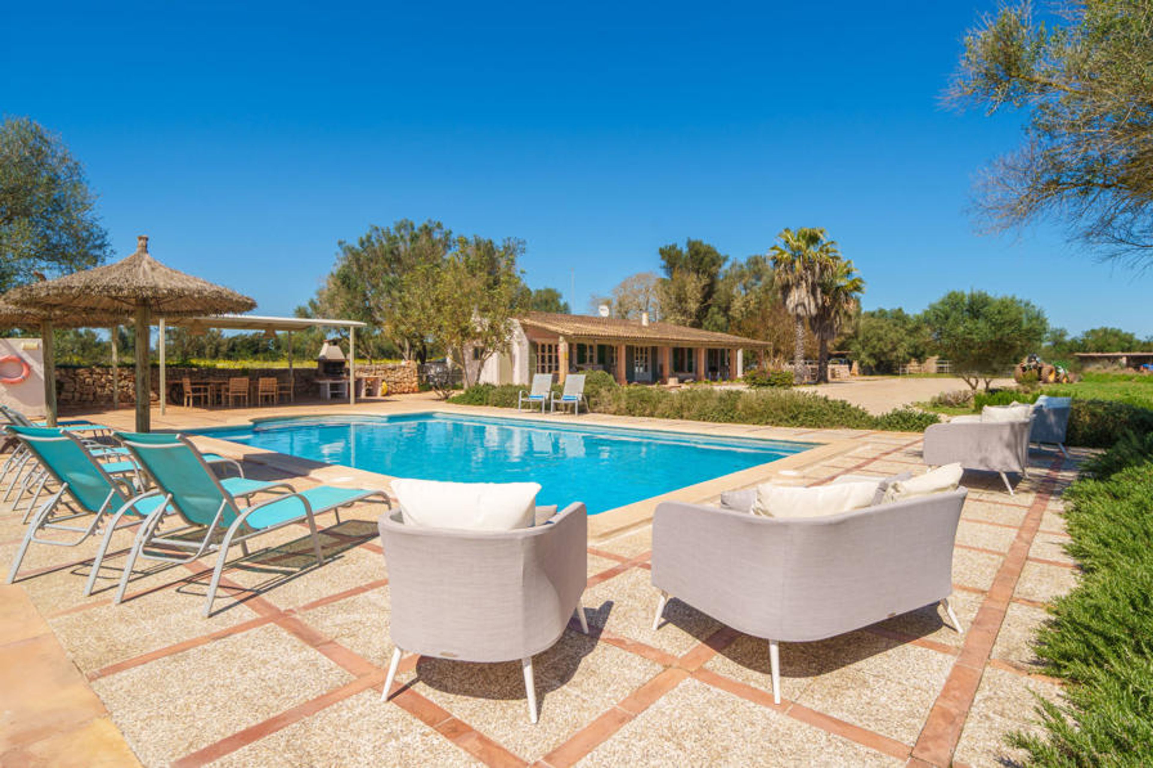 Pool Outdoor