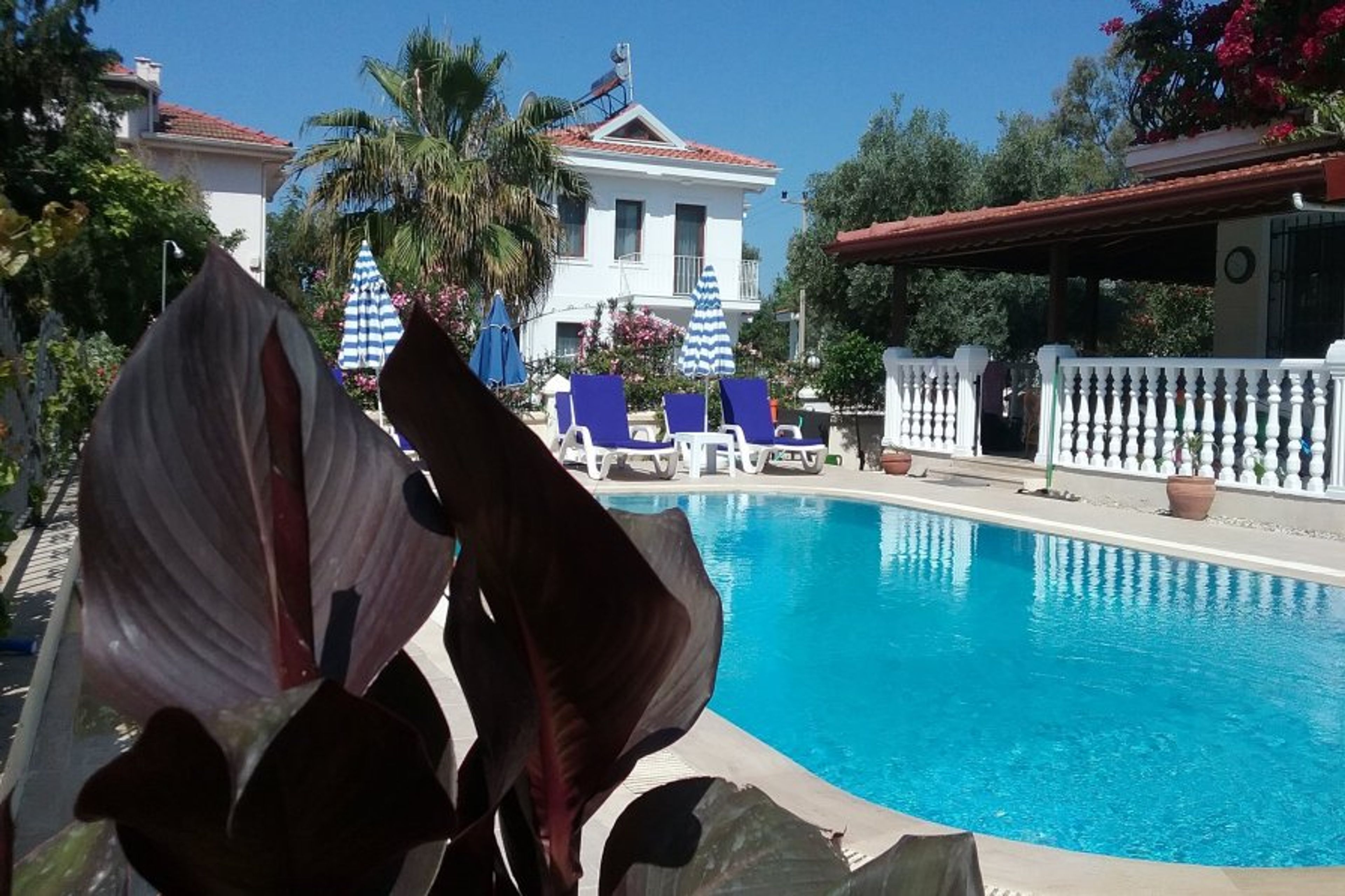 Villa Guzel private swimming pool