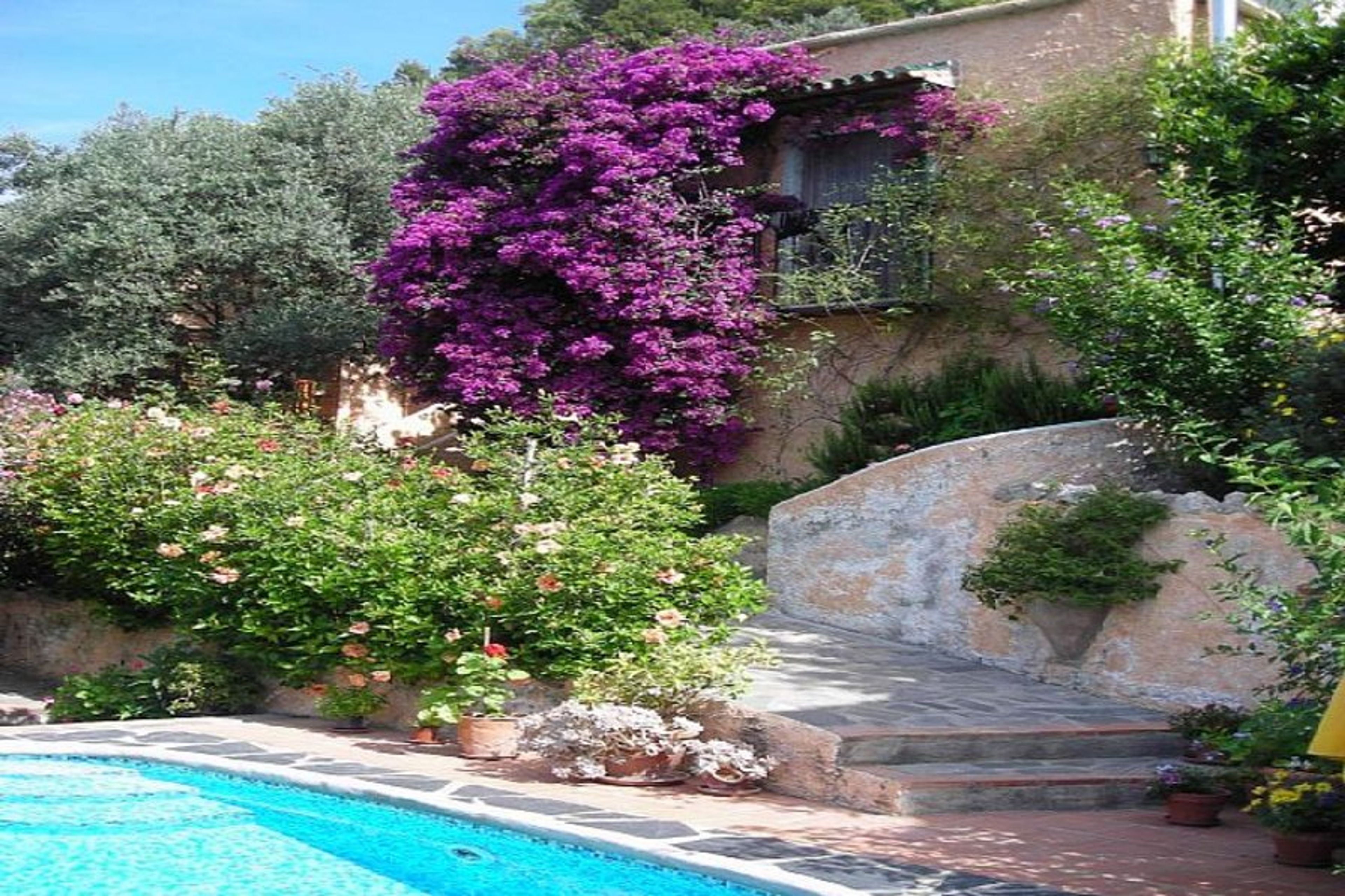 cottage above pool