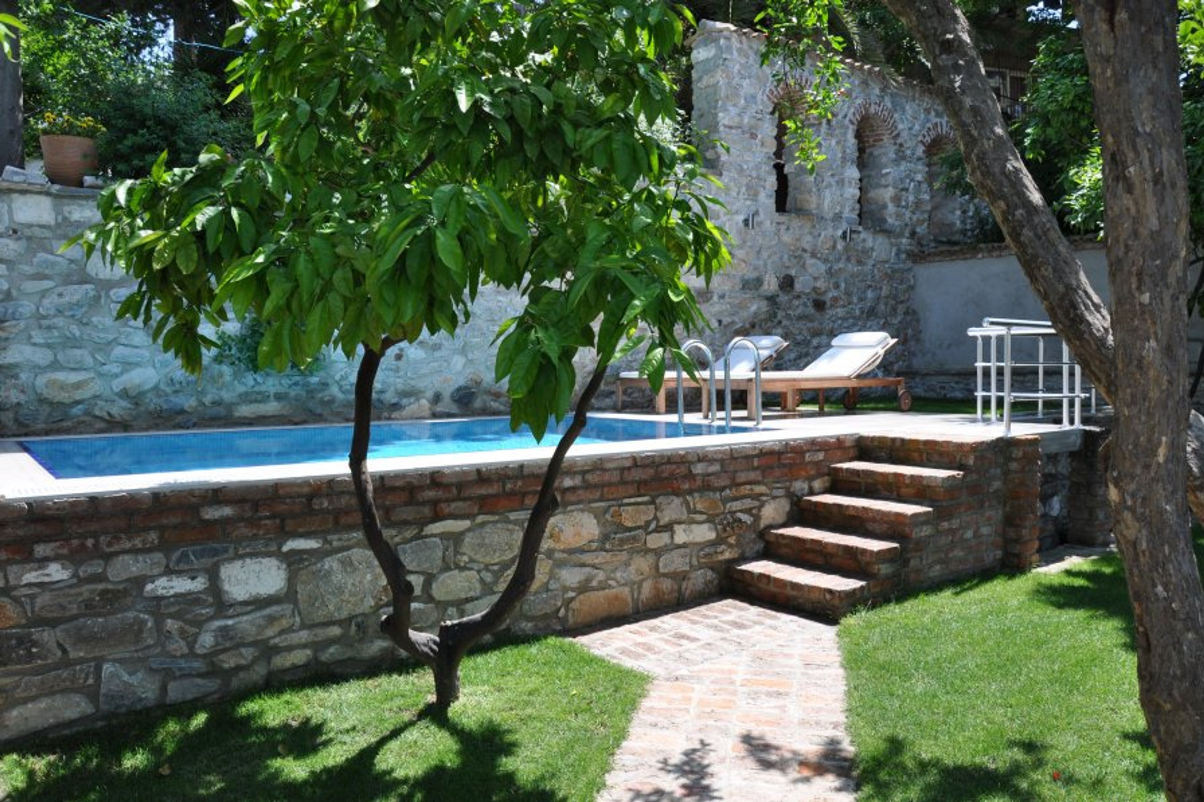 Swimming pool situated in a beautiful citrus garden.