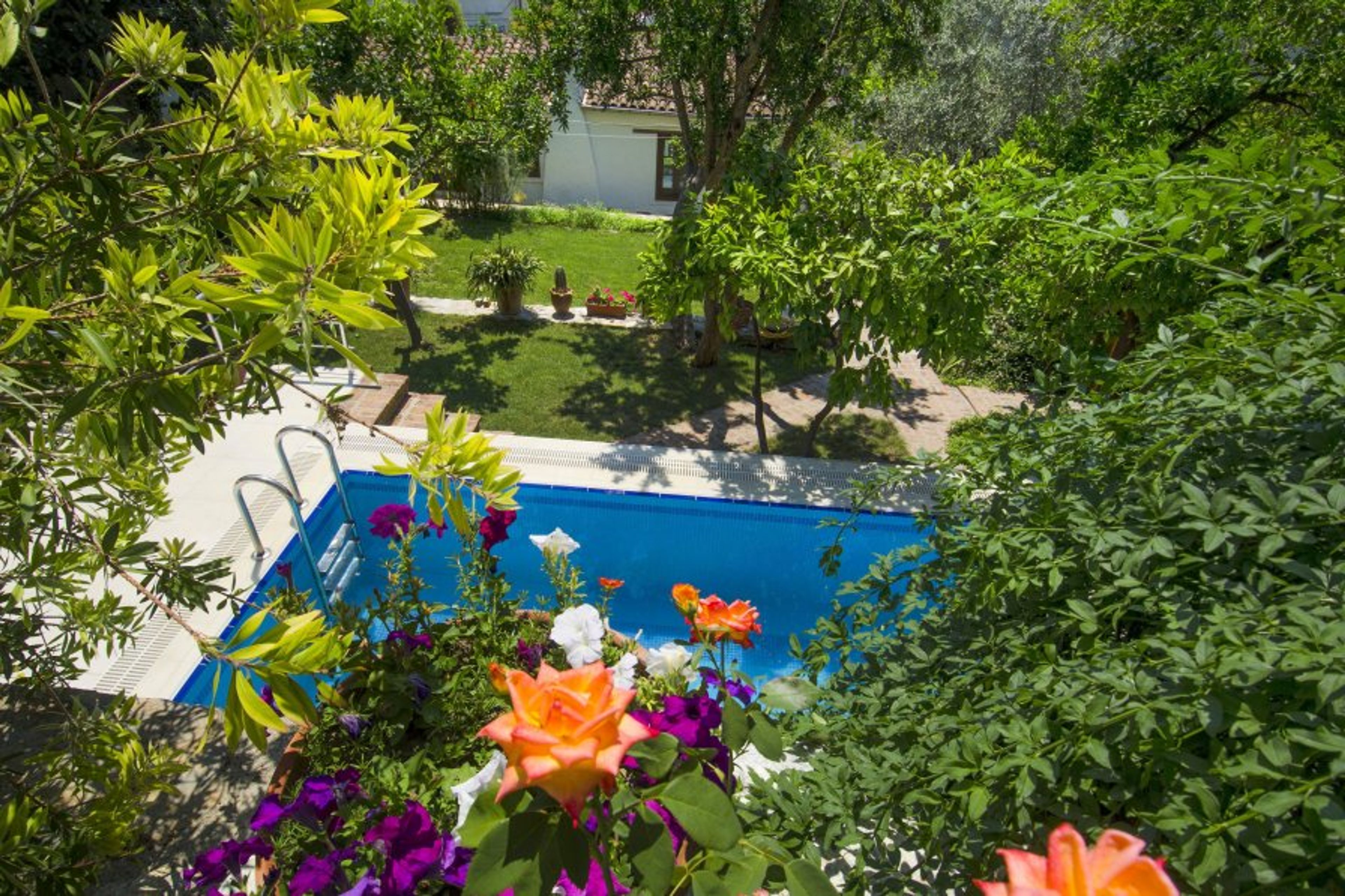 Swimming pool situated in Goldsmith House back citrus garden