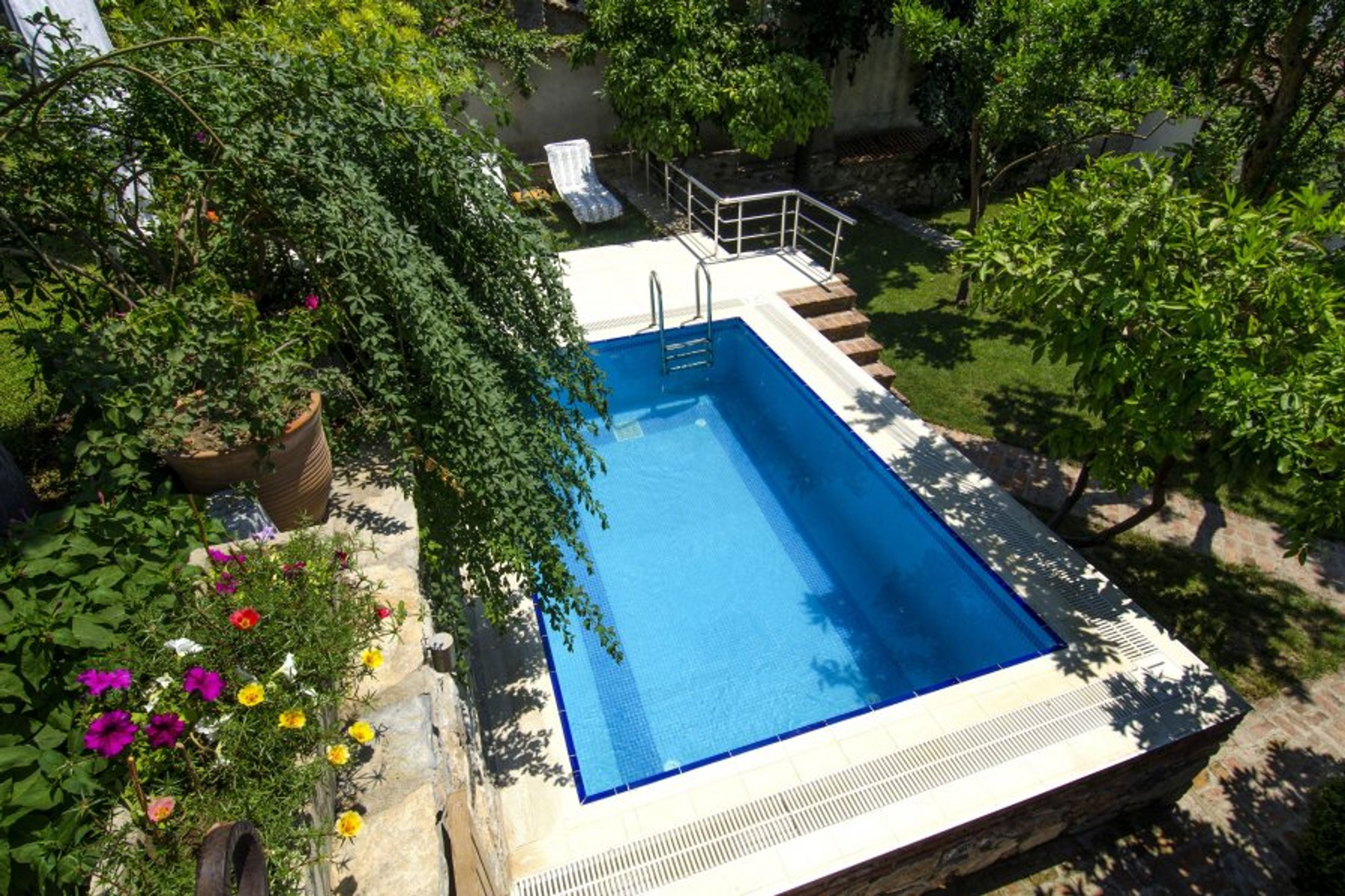 Swimming pool in beautful citrus garden 
