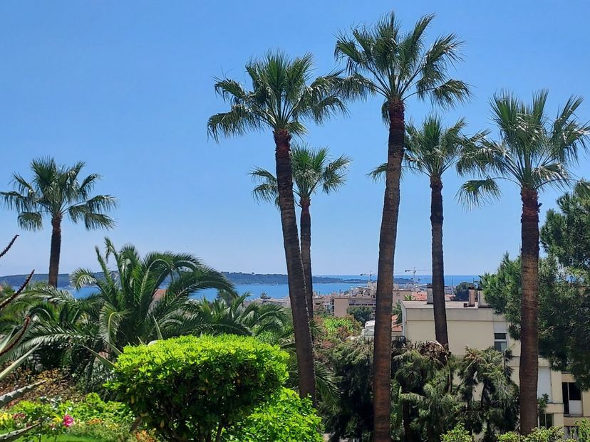 Apartment in La Californie, the South of France